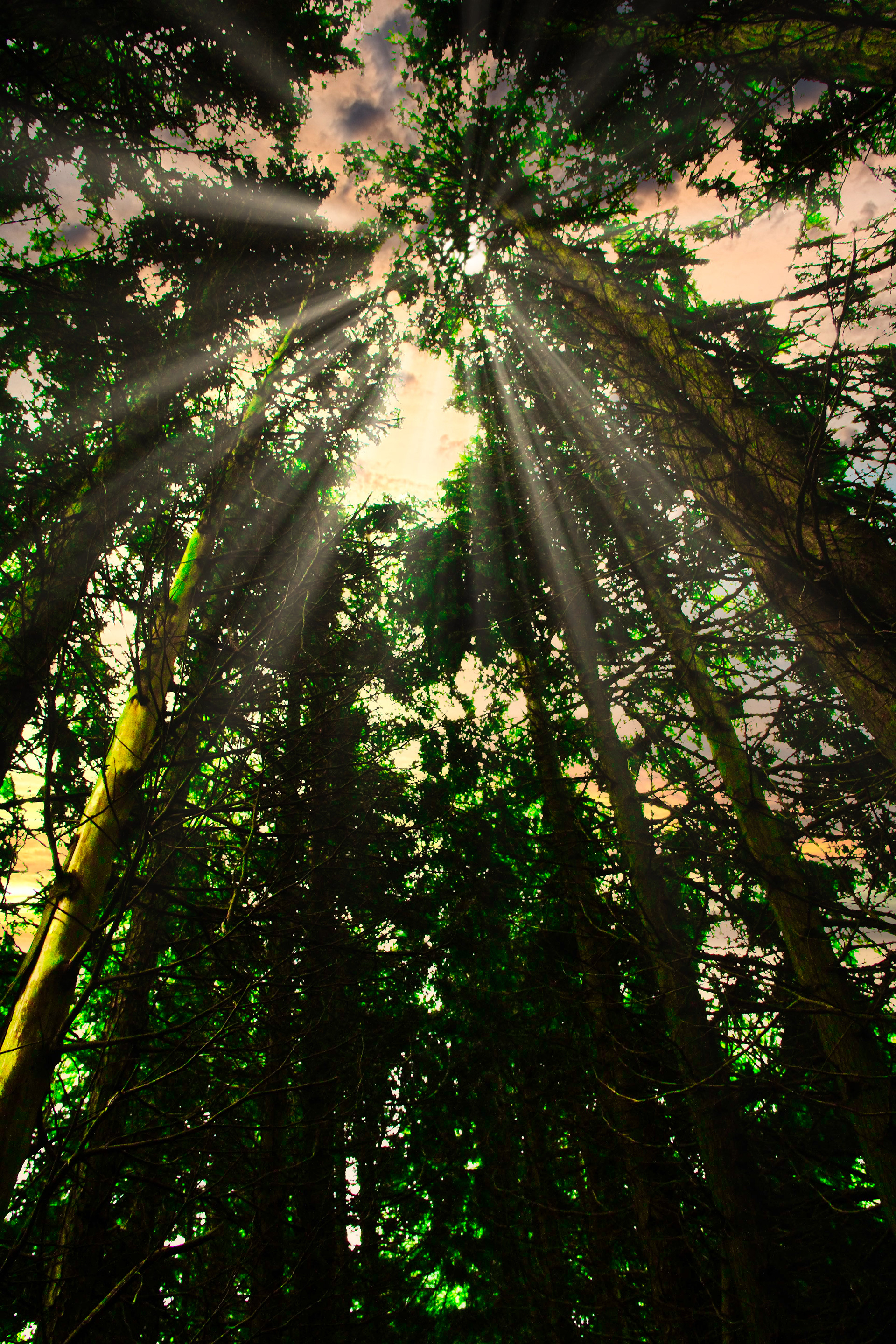 Sparing Sunlight