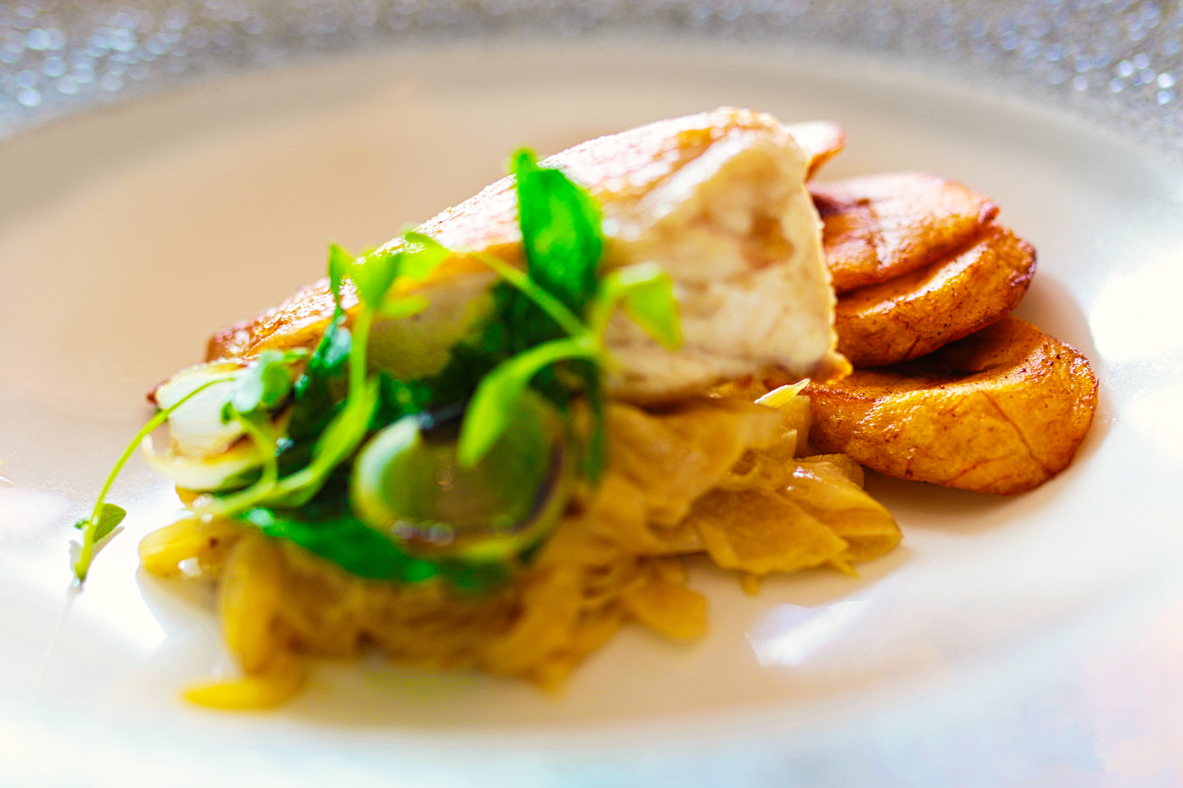 Chicken Breast & Fried Plantain