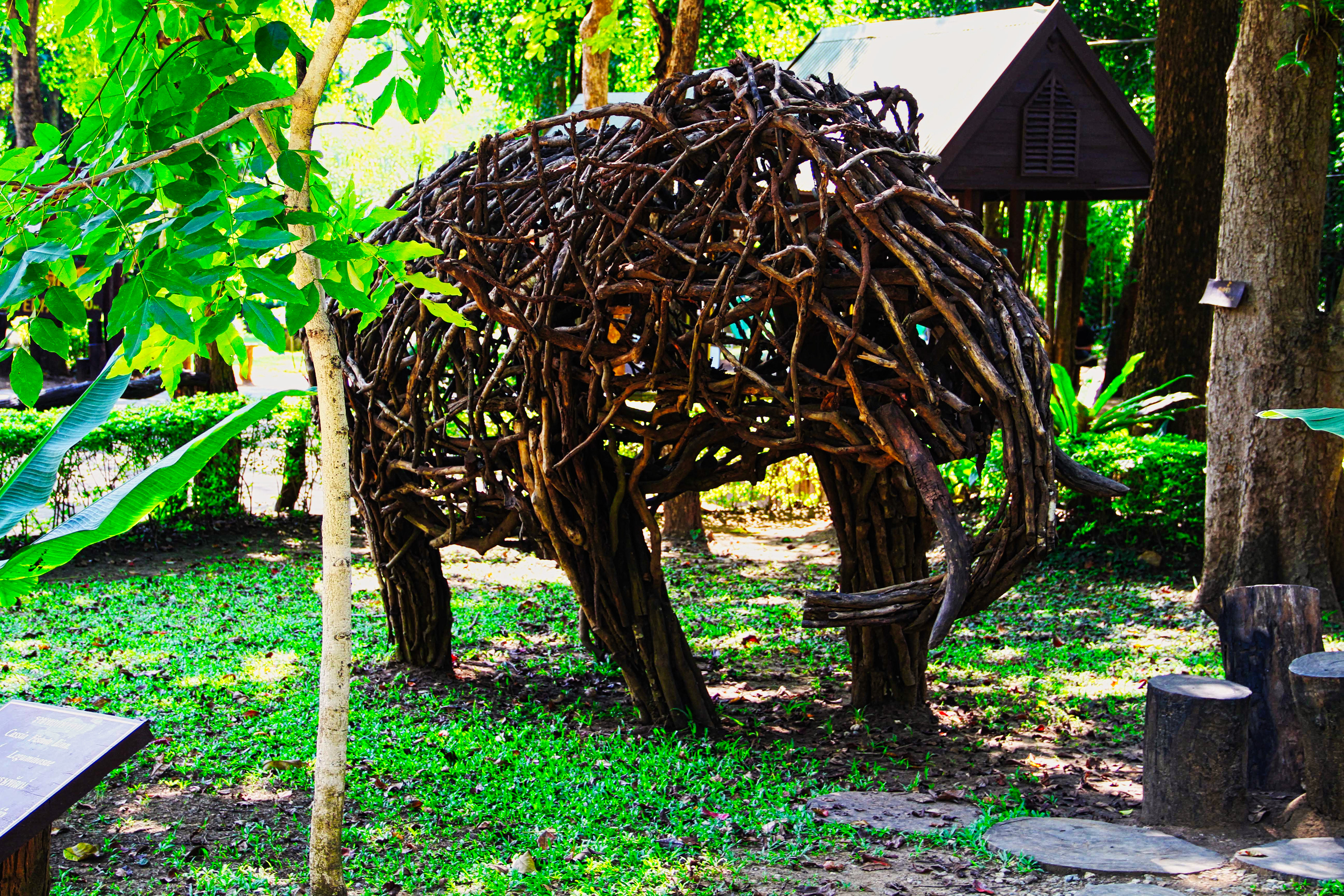 Wooden Elephant