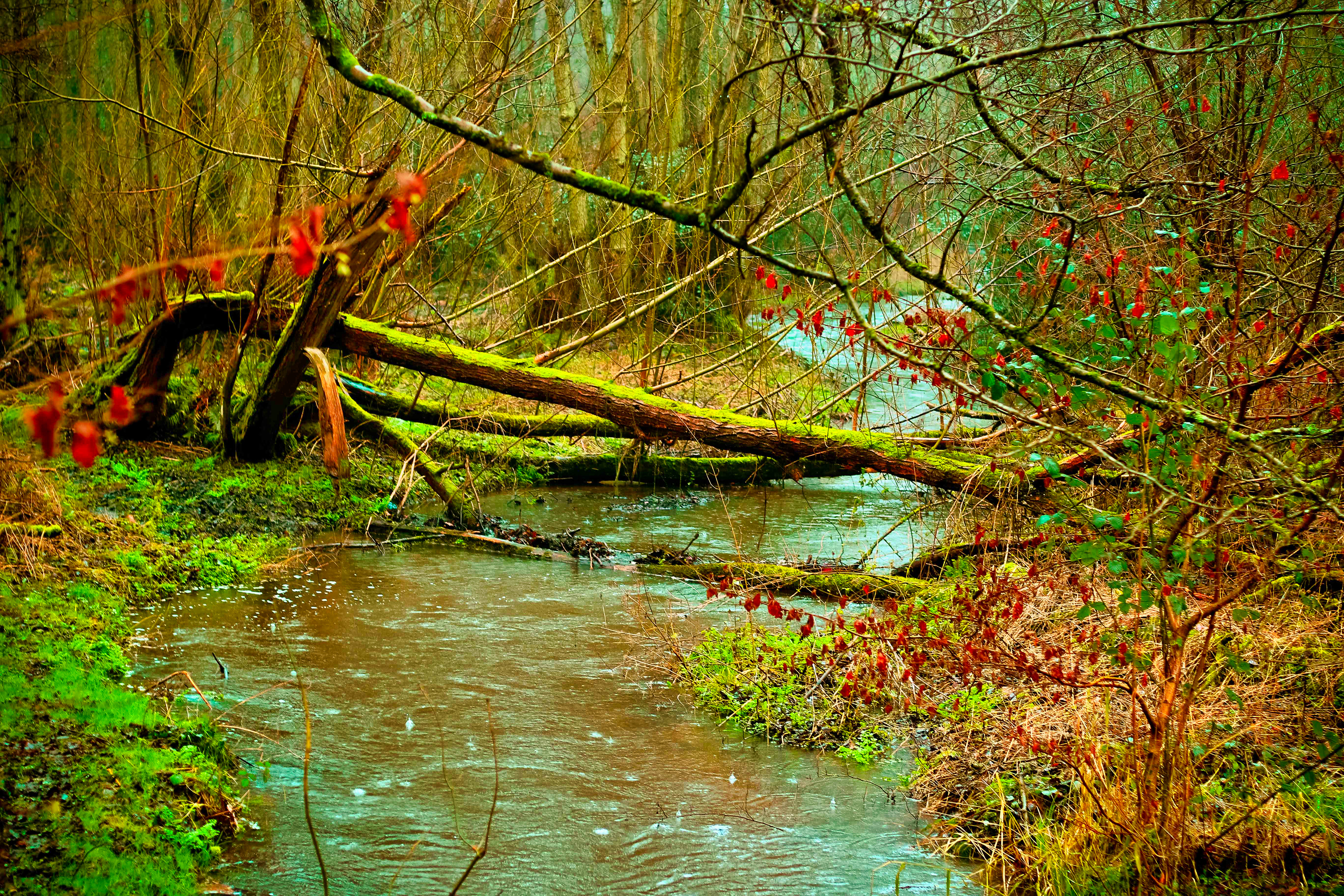 Tillingbourne Valley