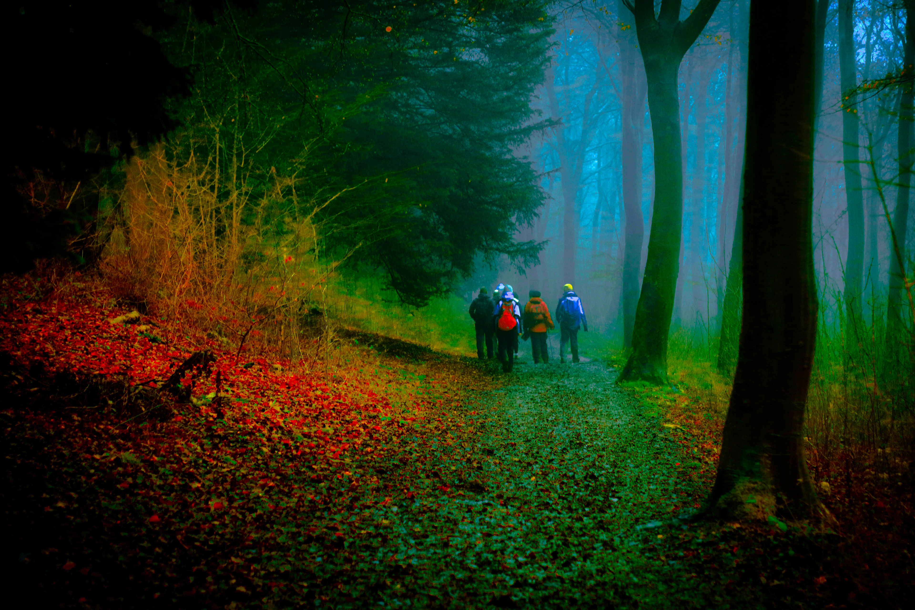 Leith Hill