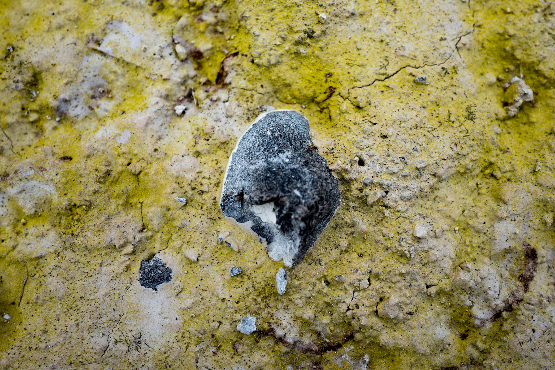 Chalk Quarry in Løgstør X