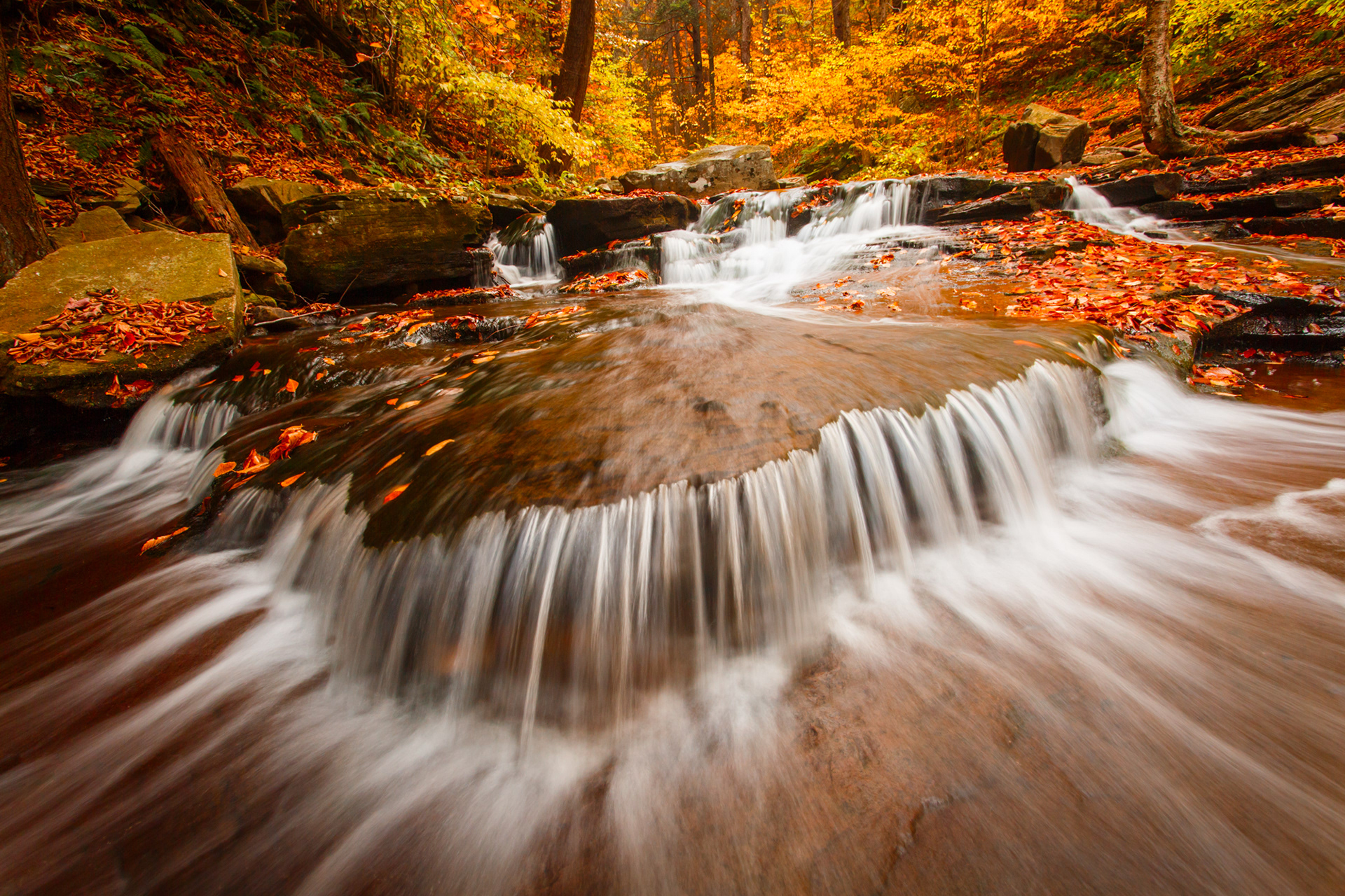 Ricketts Glen State Park, Pennsylvania