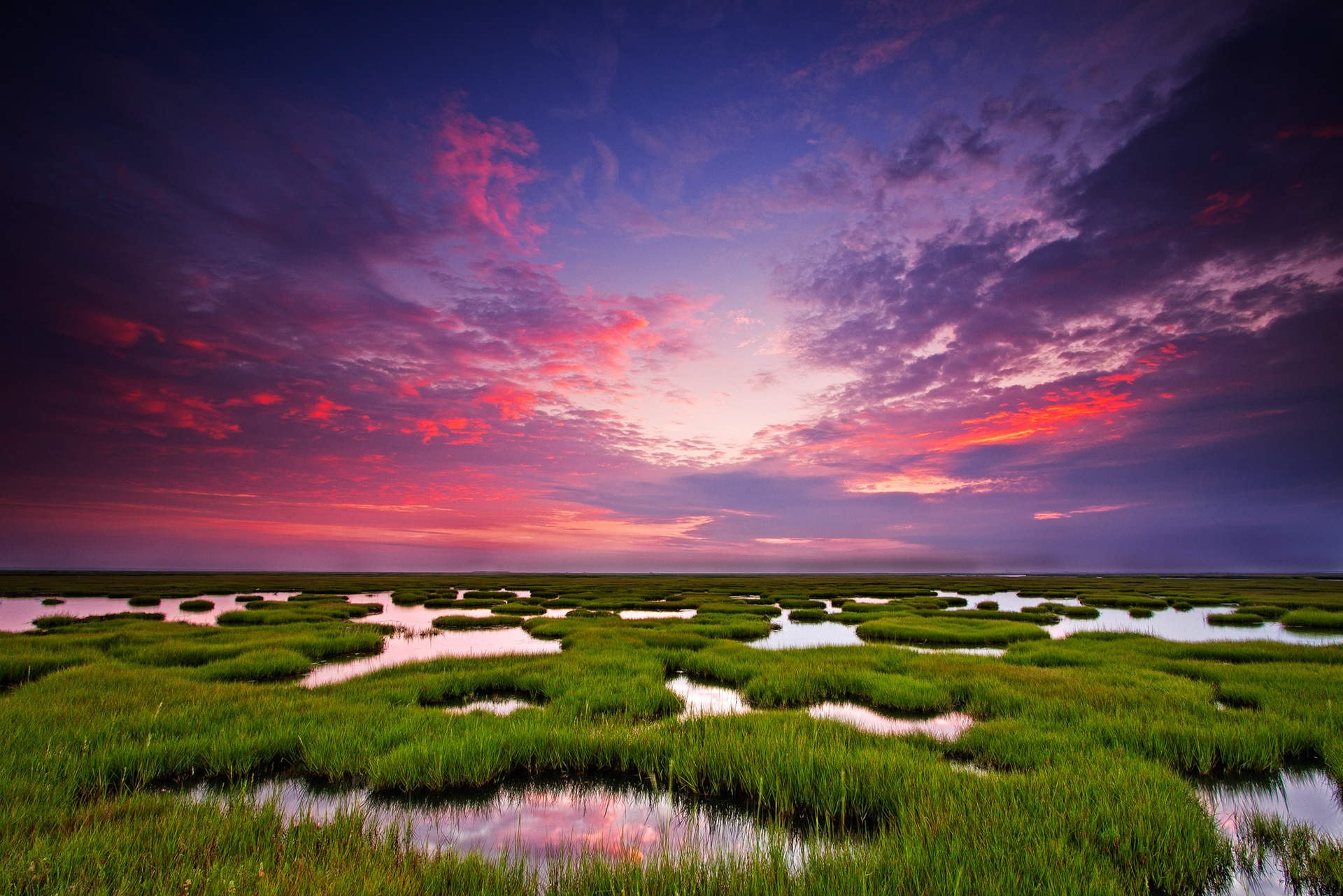 Great Bay Boulevard Wildlife Management Area, New Jersey