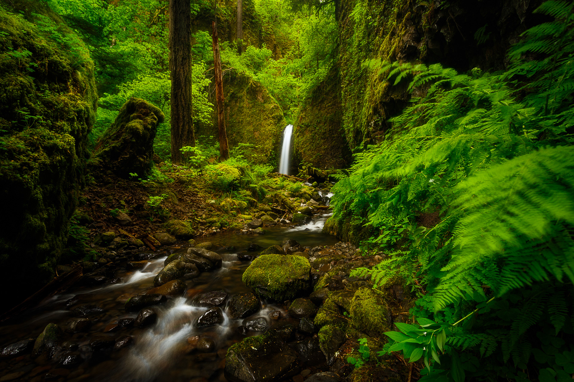 Hidden Grotto, Oregon