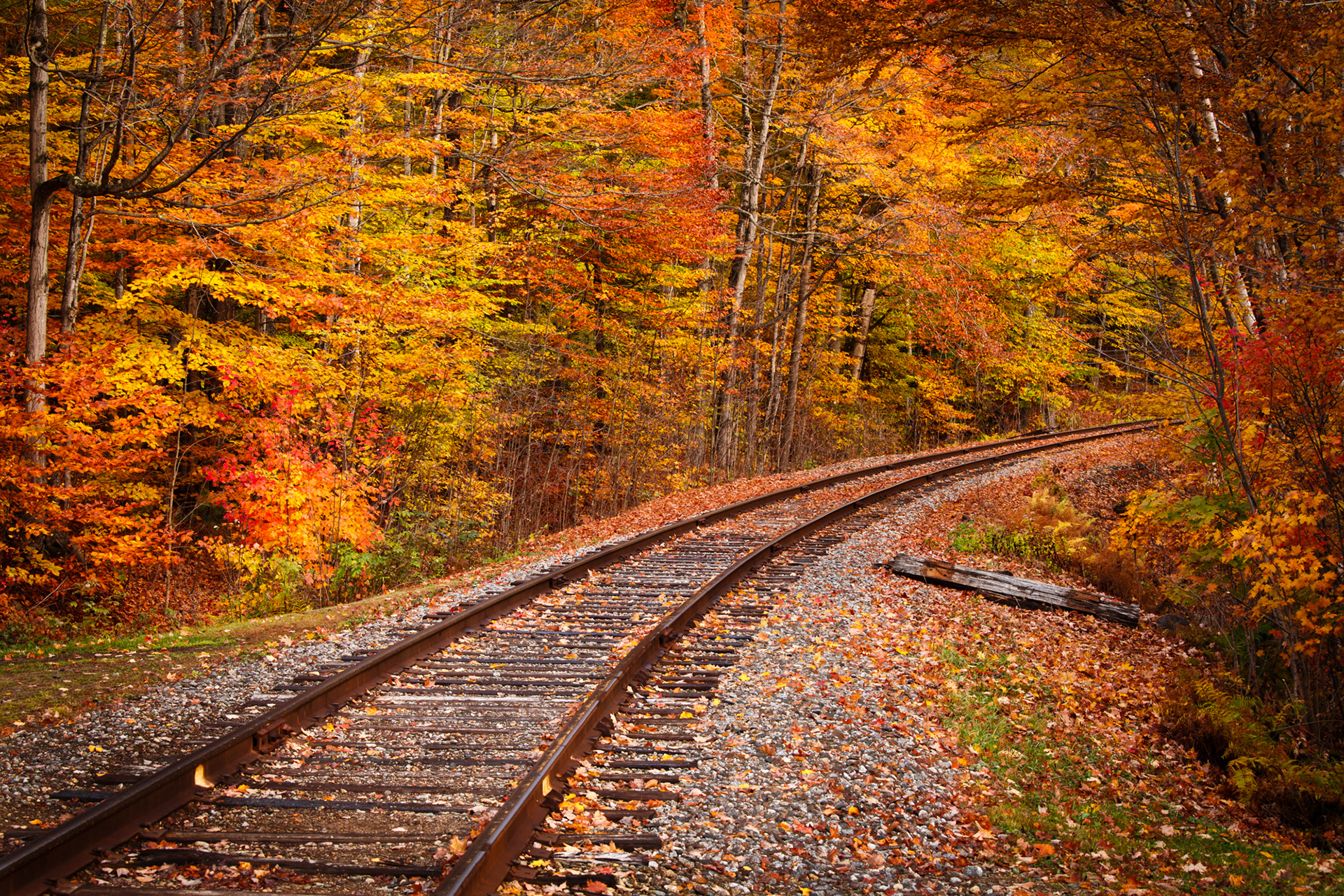 White Mountain National Forest, New Hampshire