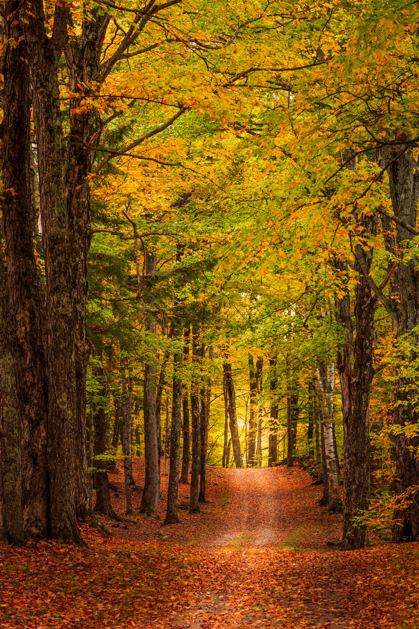 Vermont