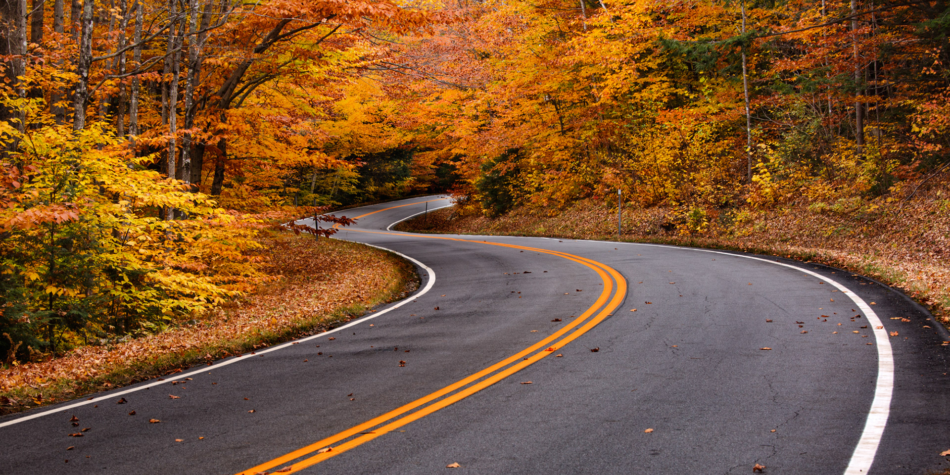 White Mountain National Forest, New Hampshire