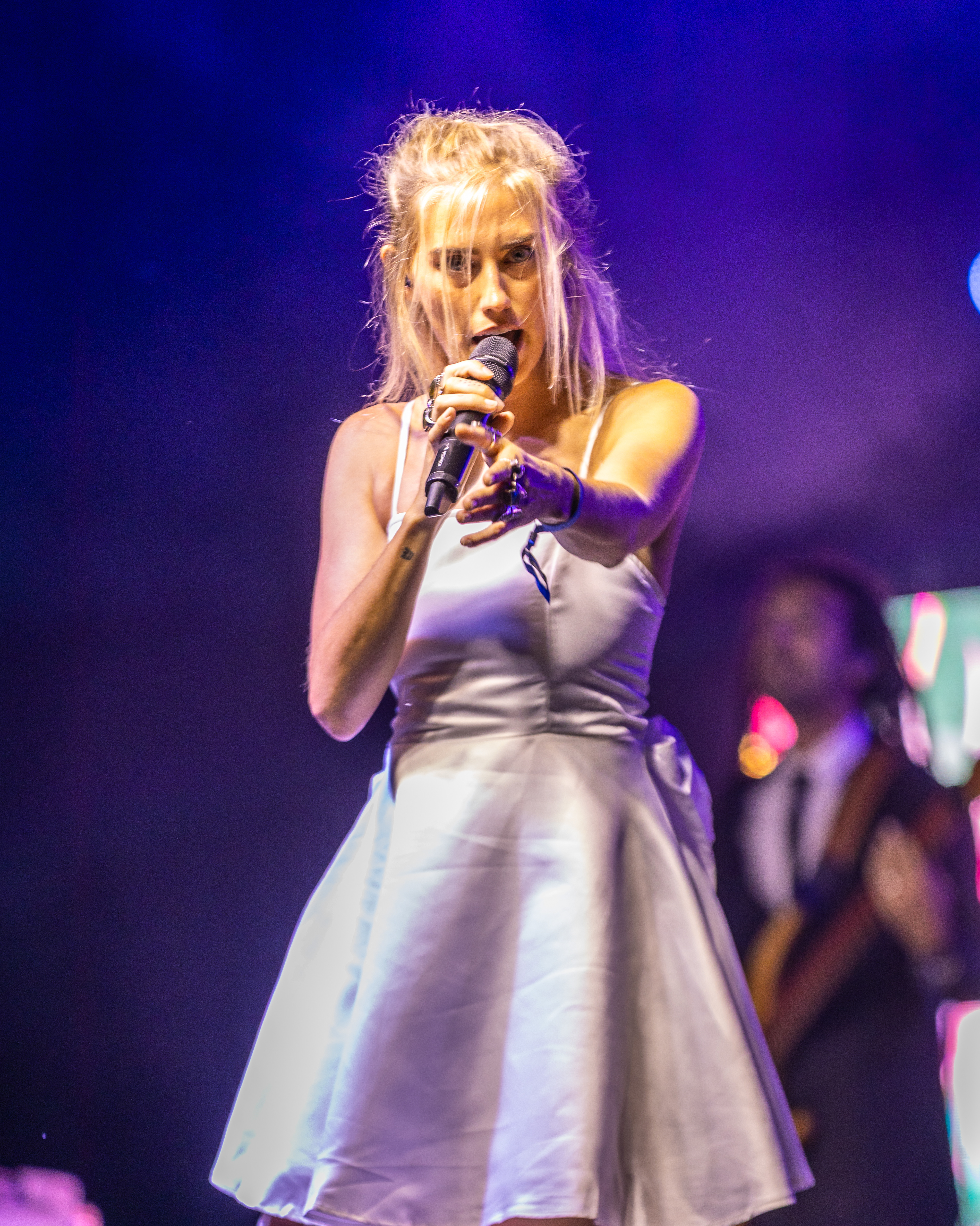 Artikal Sound System - Everwild Music and Arts Festival 2025