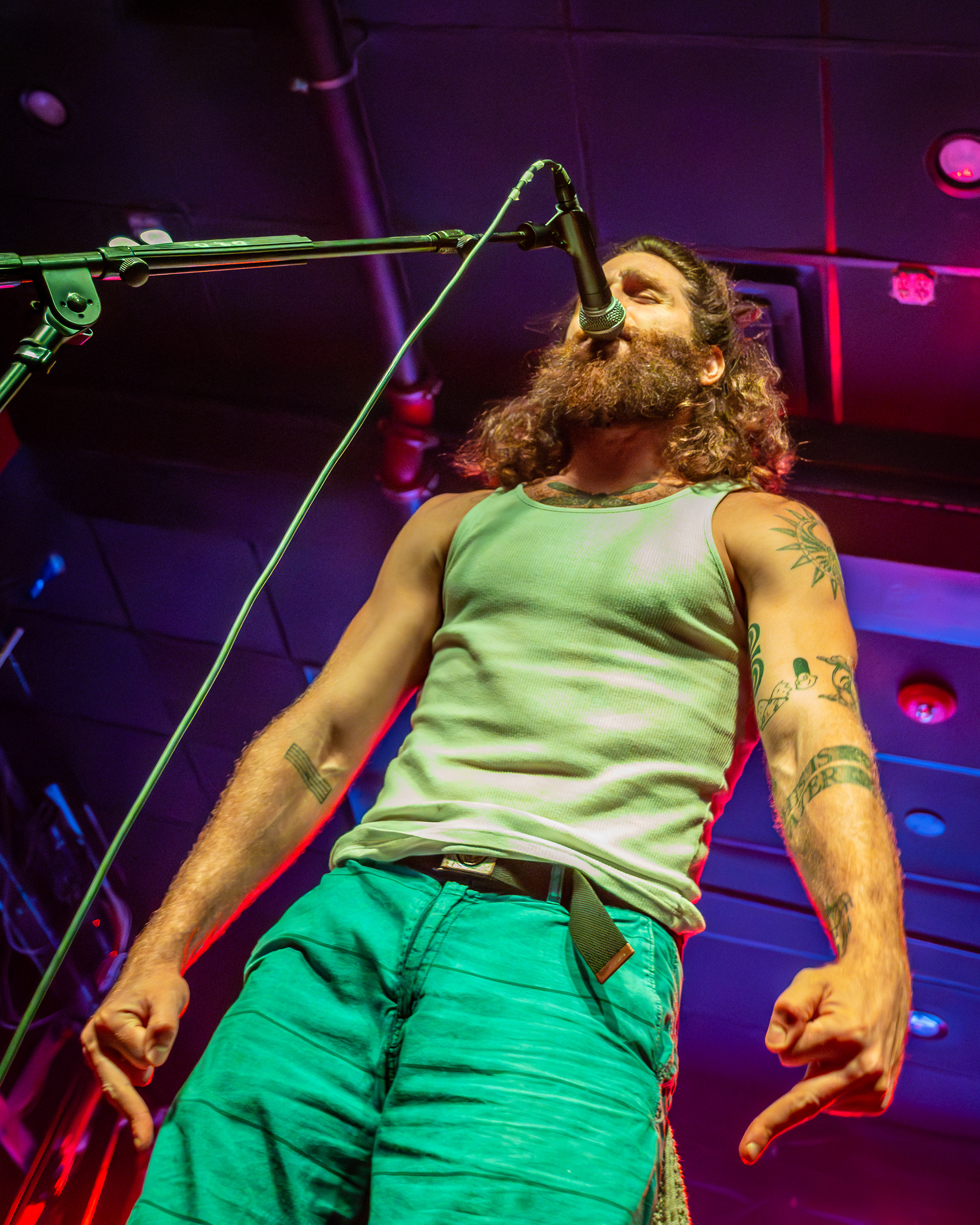 Dale and the ZDubs - The Recher - May 16, 2025