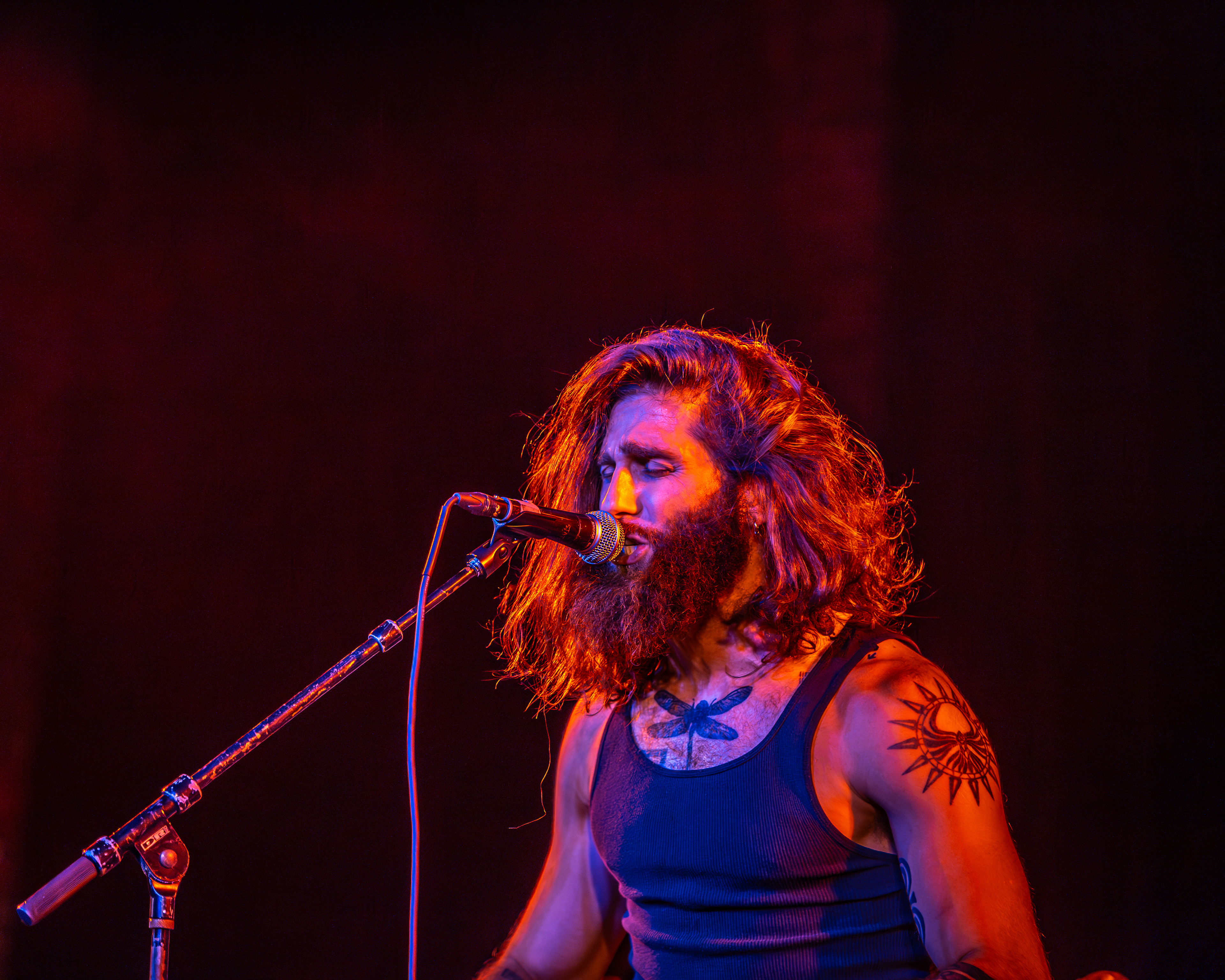 Dale and the ZDubs - The State Theater - April 20, 204