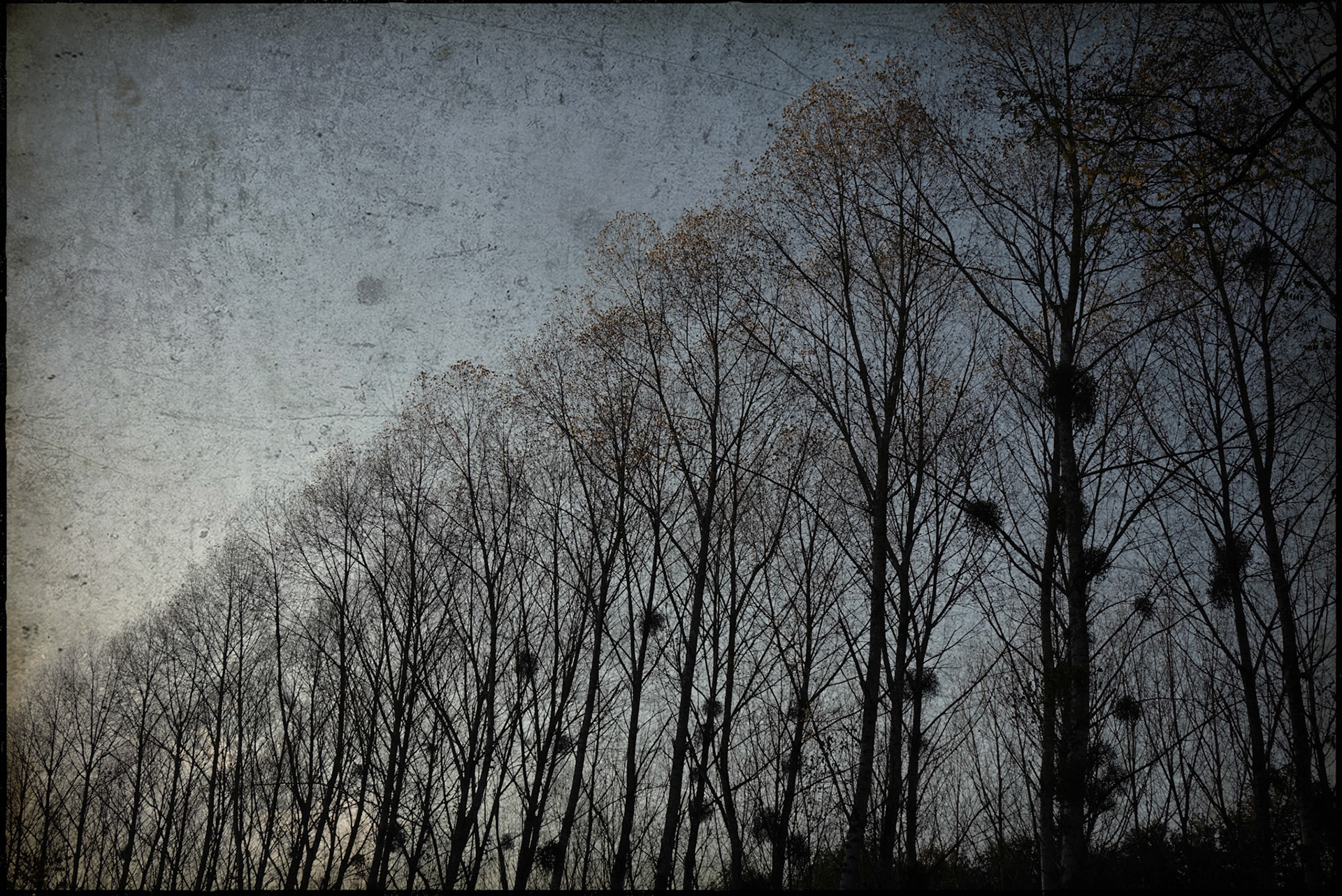 40x50 cm. 2023. Tirage papier coton RAG. 30 ex.