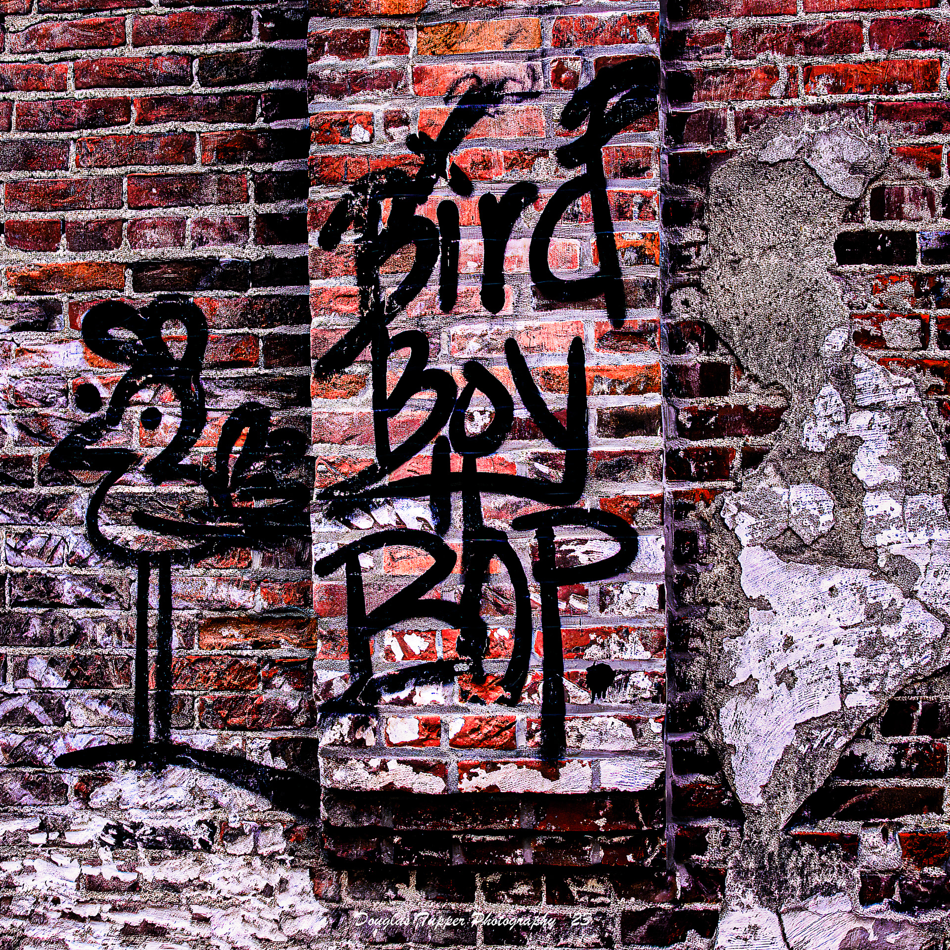 Iowa City Street Art