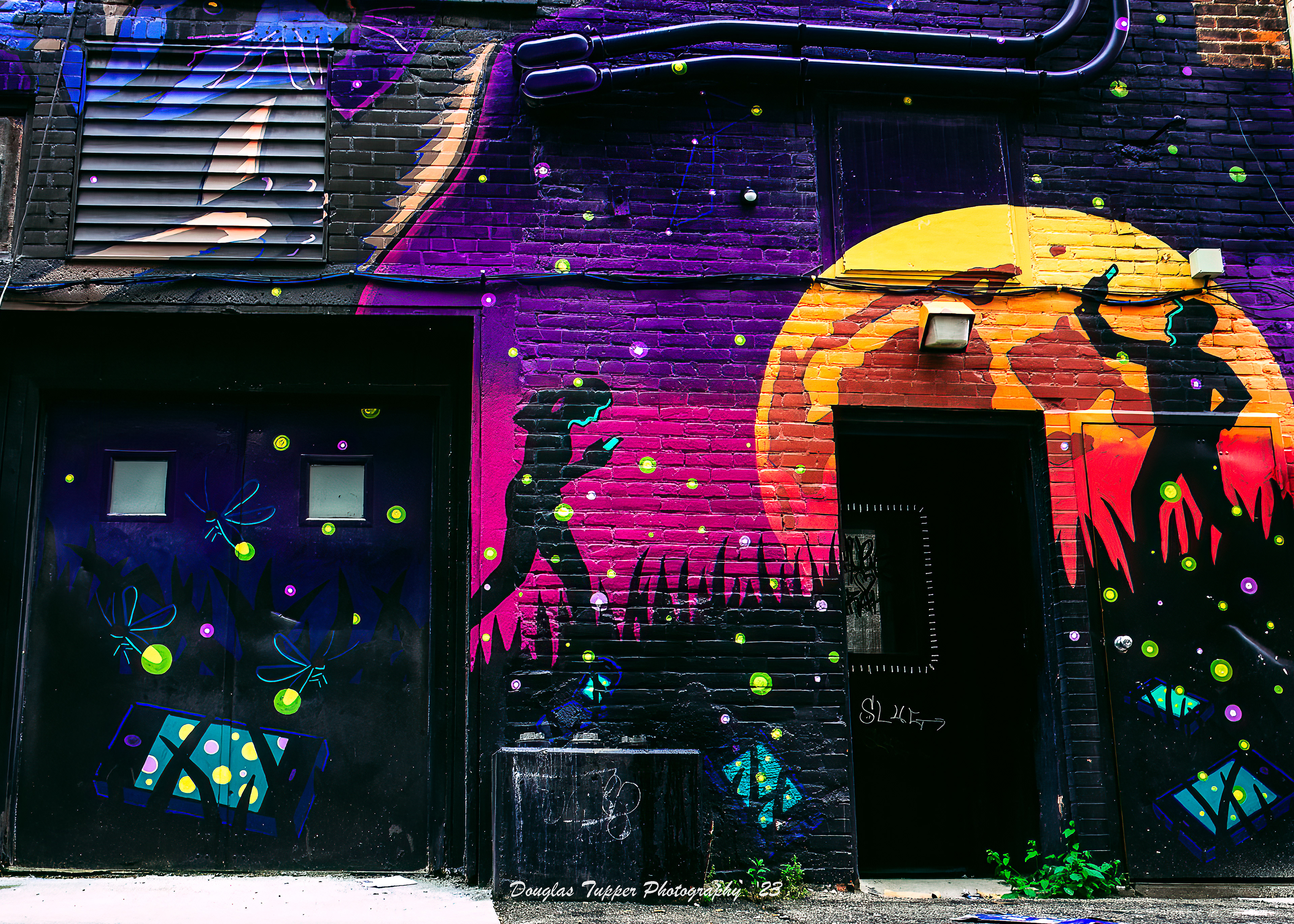 Iowa City Street Art
