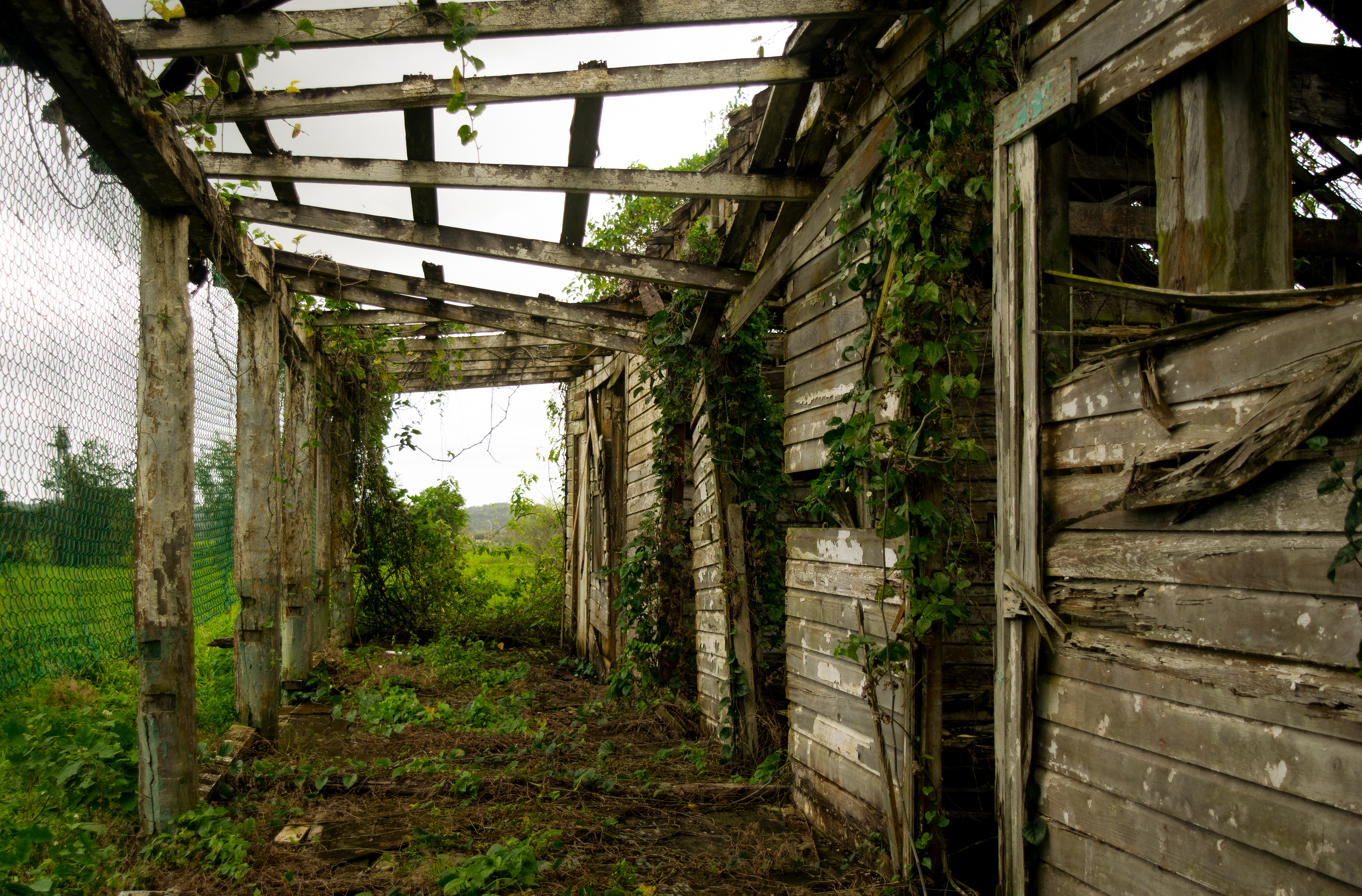 Finca Santa Elena, Toa Baja PR