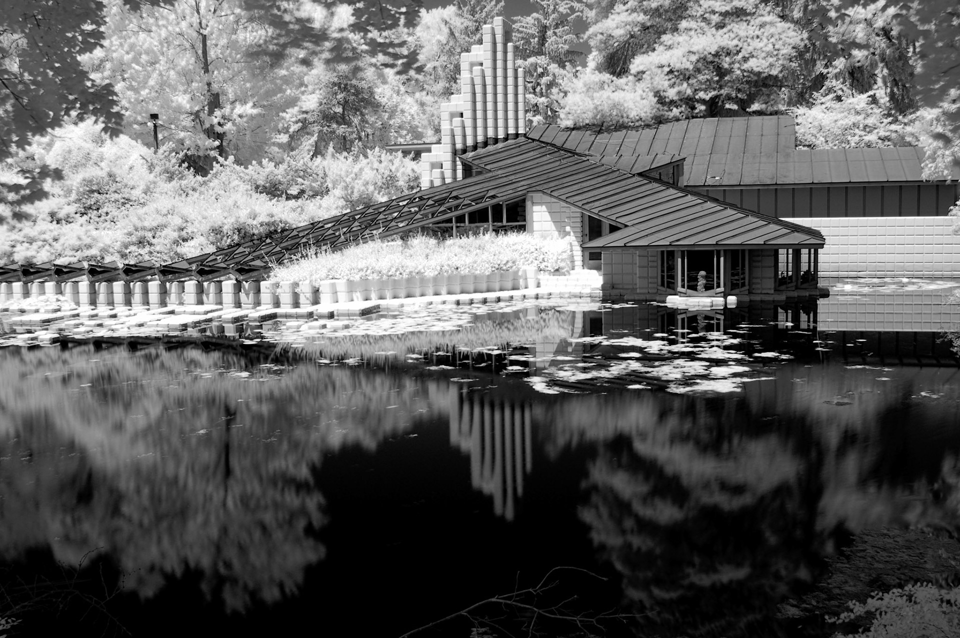 AB Dow Home, Dow Gardens - Digital IR