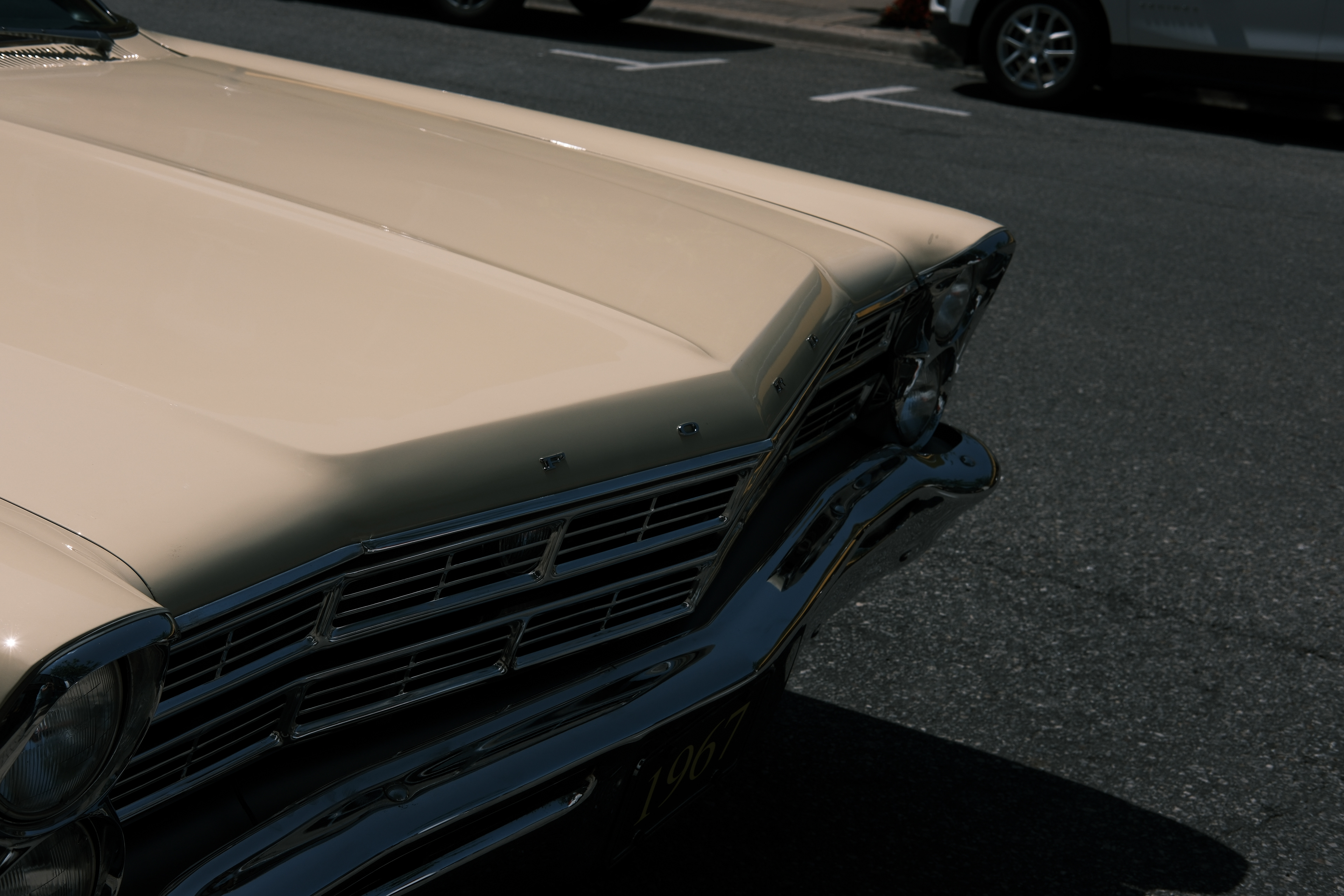 35mm, 1/1100 sec, f/8.0, ISO 125