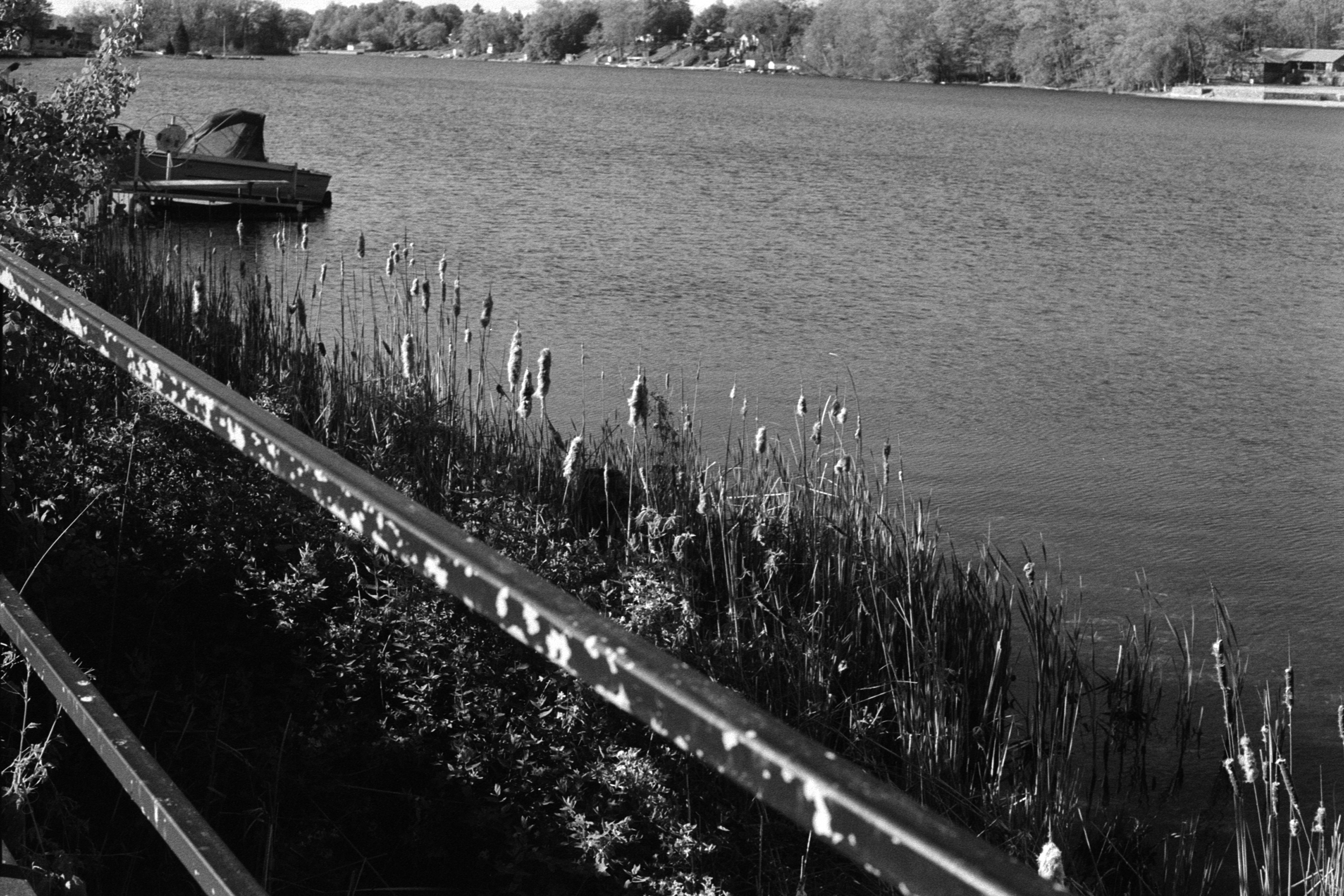 Nikon FM, Kodak TX400, Harrison MI