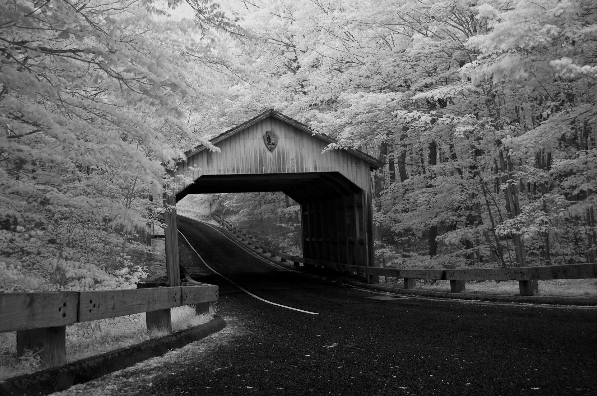 Pierce Stocking Scenic Drive - Digital IR