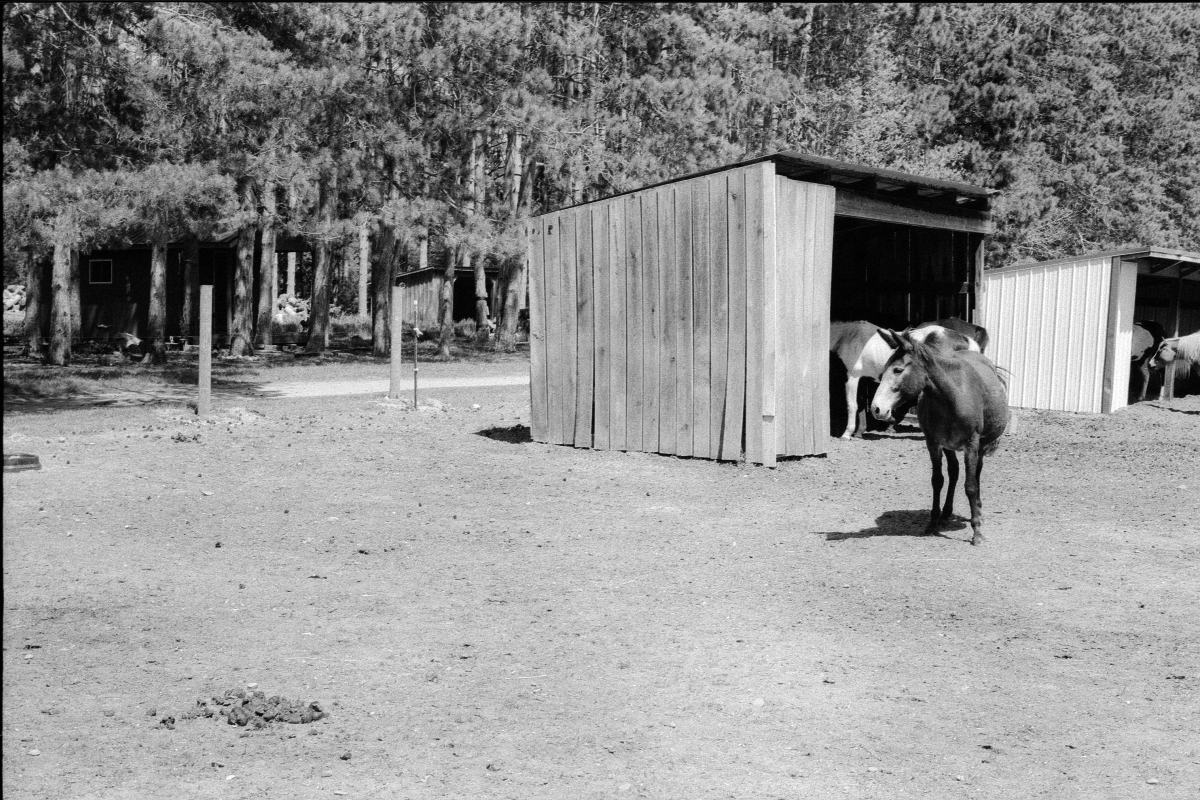 Lake Isabella on 400TX