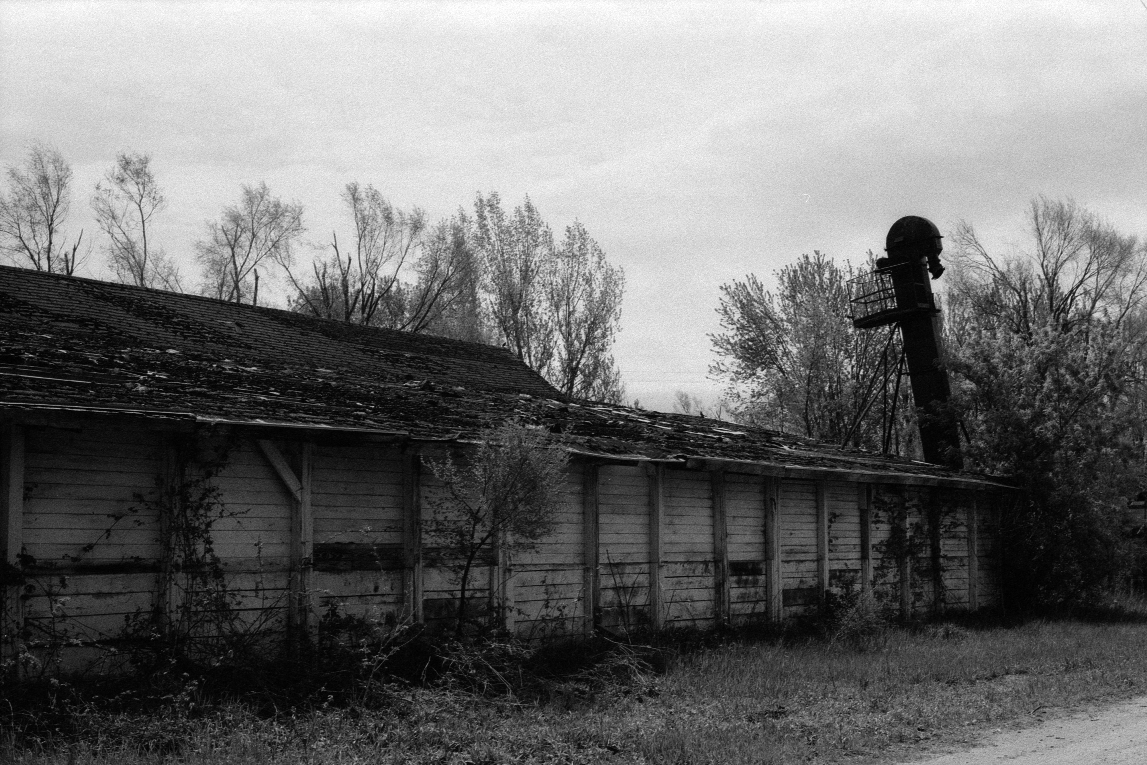 Weidman on TMAX400