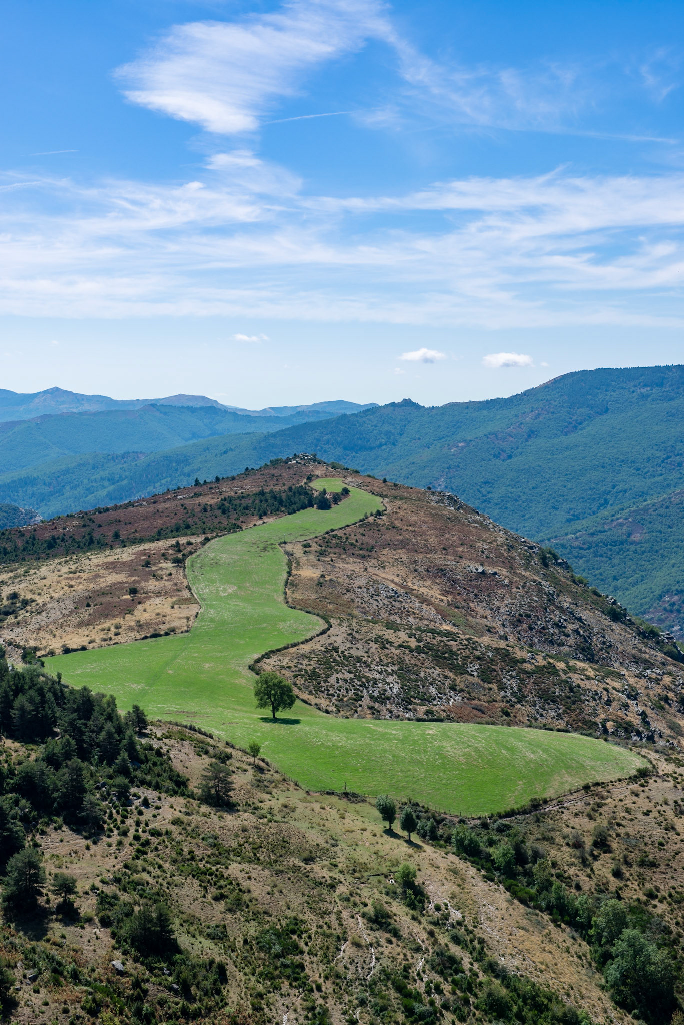 Cevennes