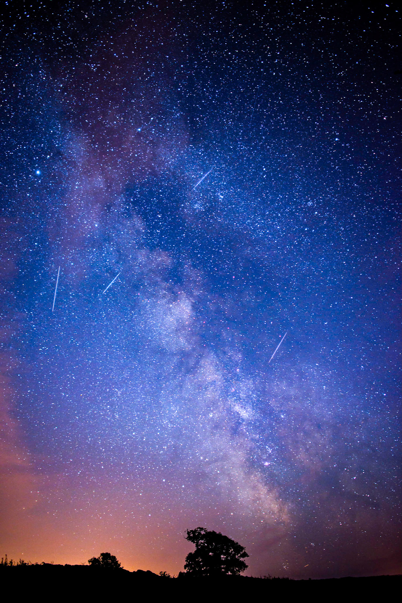 The Milkyway Way Hilfield Hill, Dorset, August 2015
