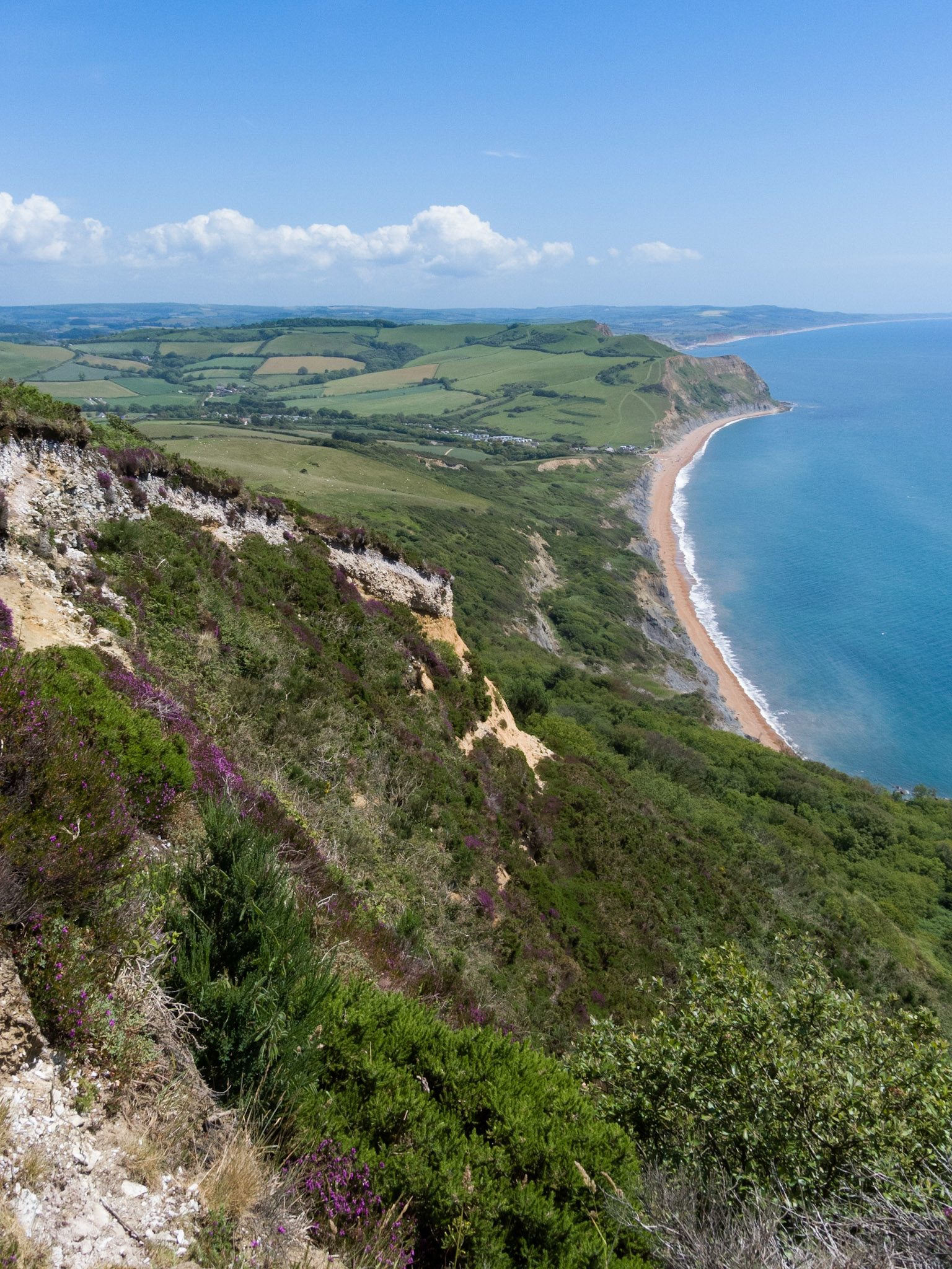Dorset