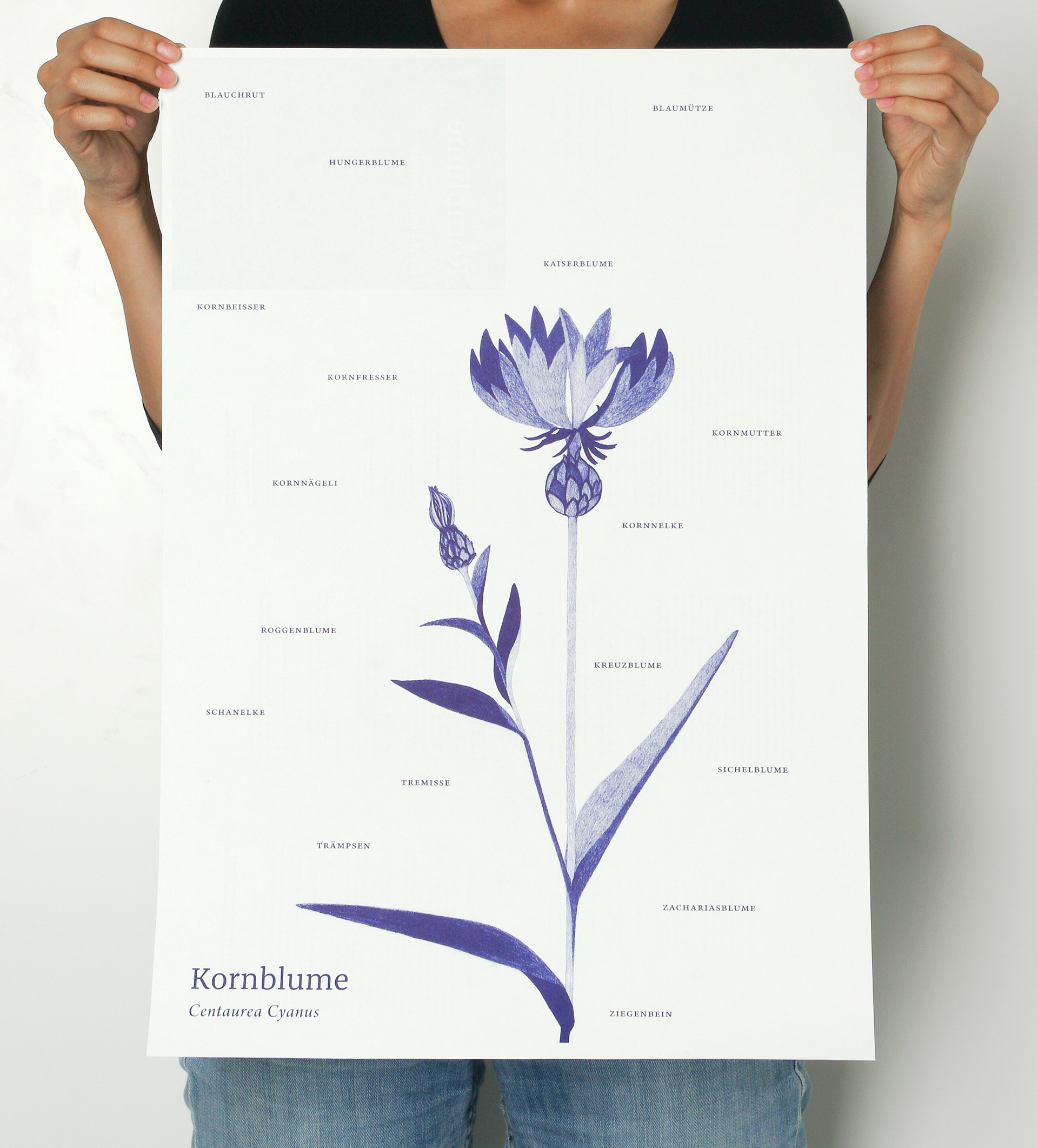 wild&knackig Der Muthesius Garten von Anna Carina Lange und Tsitsi Roland