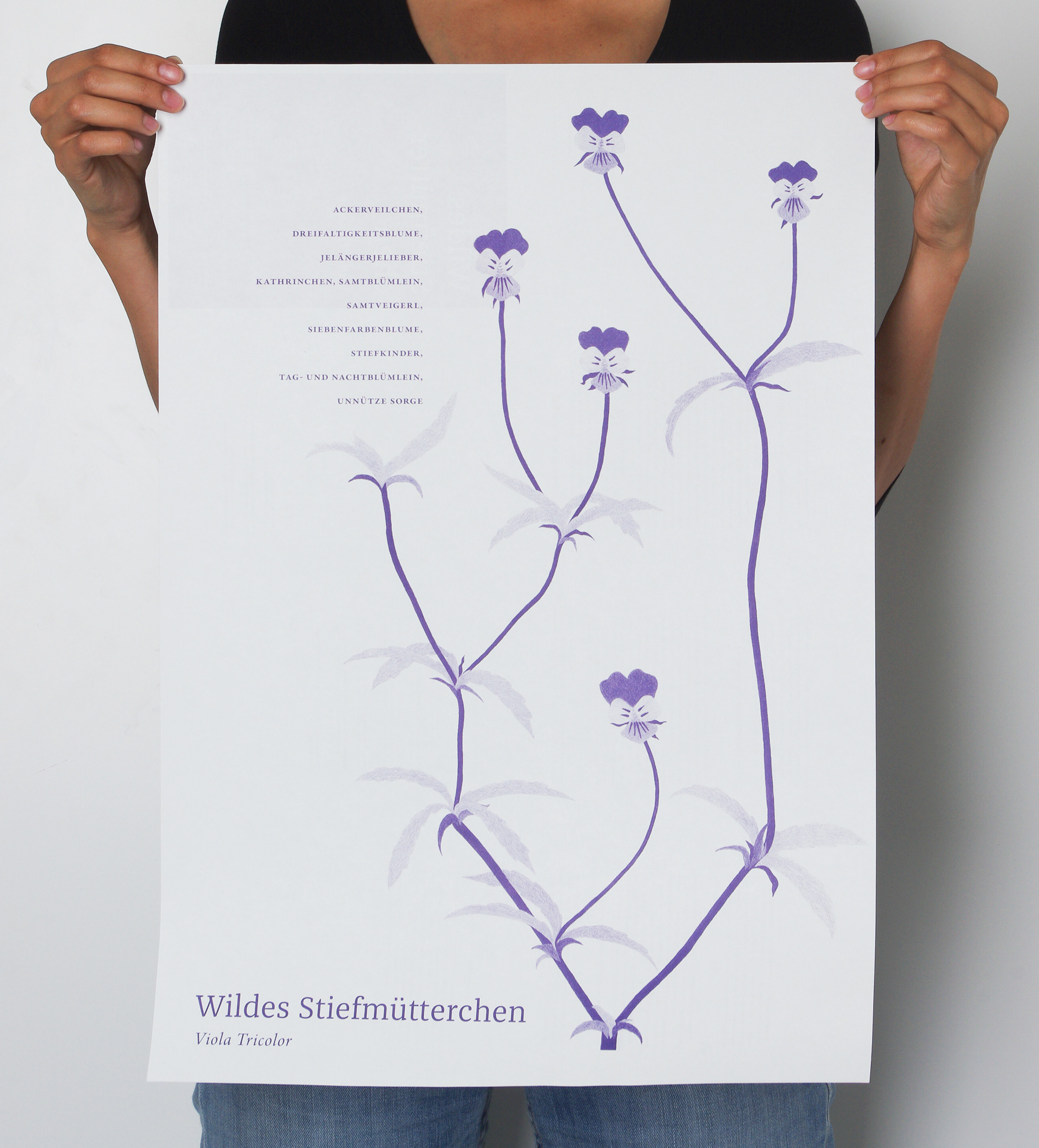 wild&knackig Der Muthesius Garten von Anna Carina Lange und Tsitsi Roland