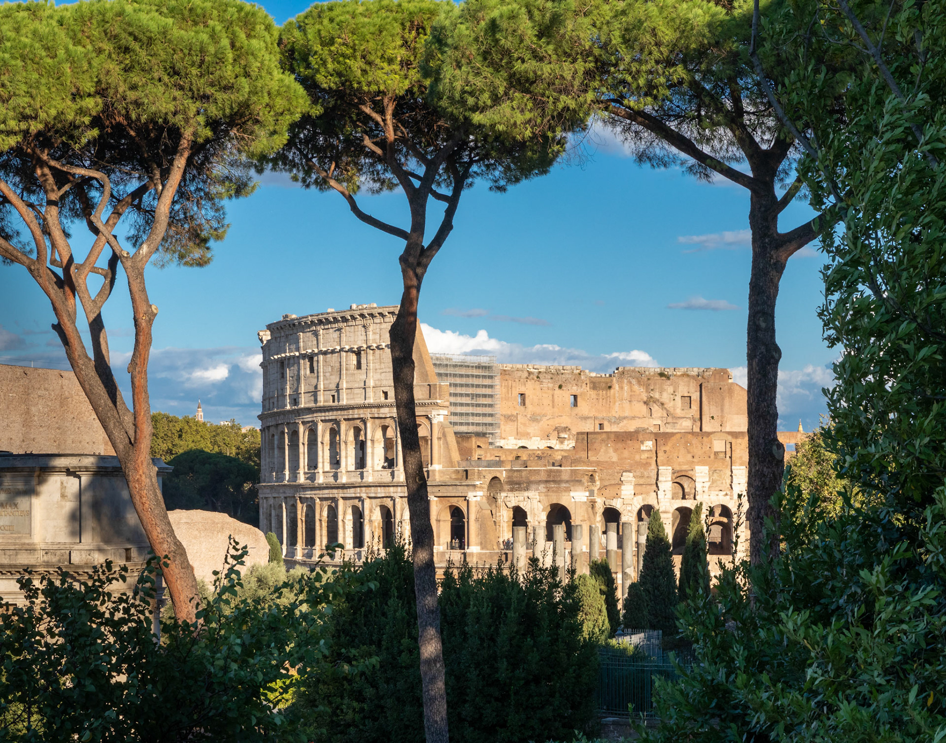 Coliseum - Rome, Italy