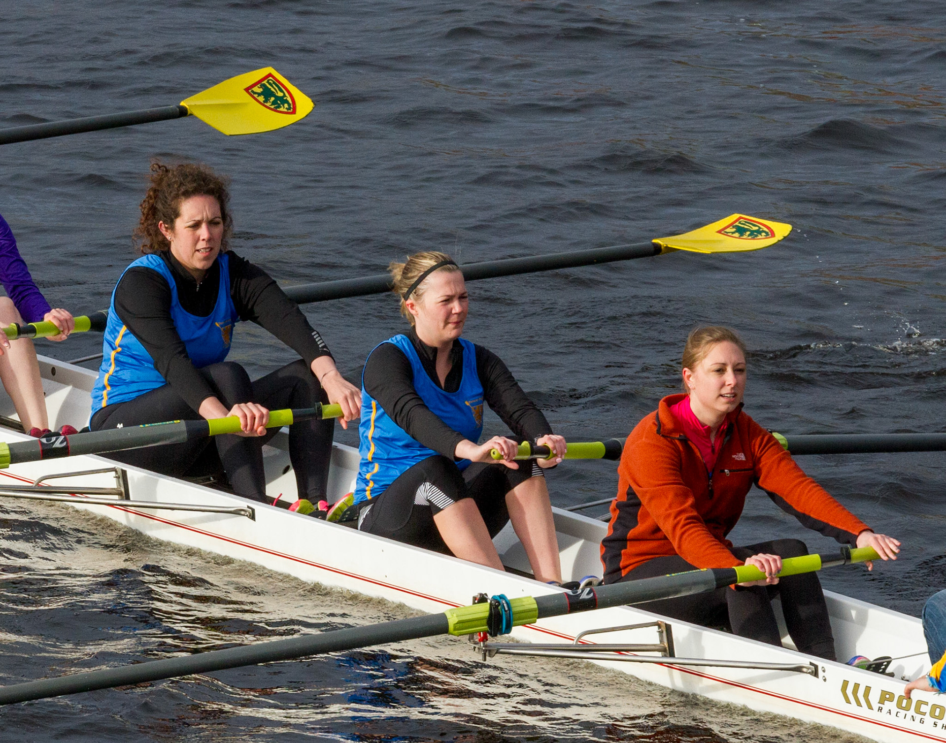 Harvard Rowing - On the Charles River, Boston