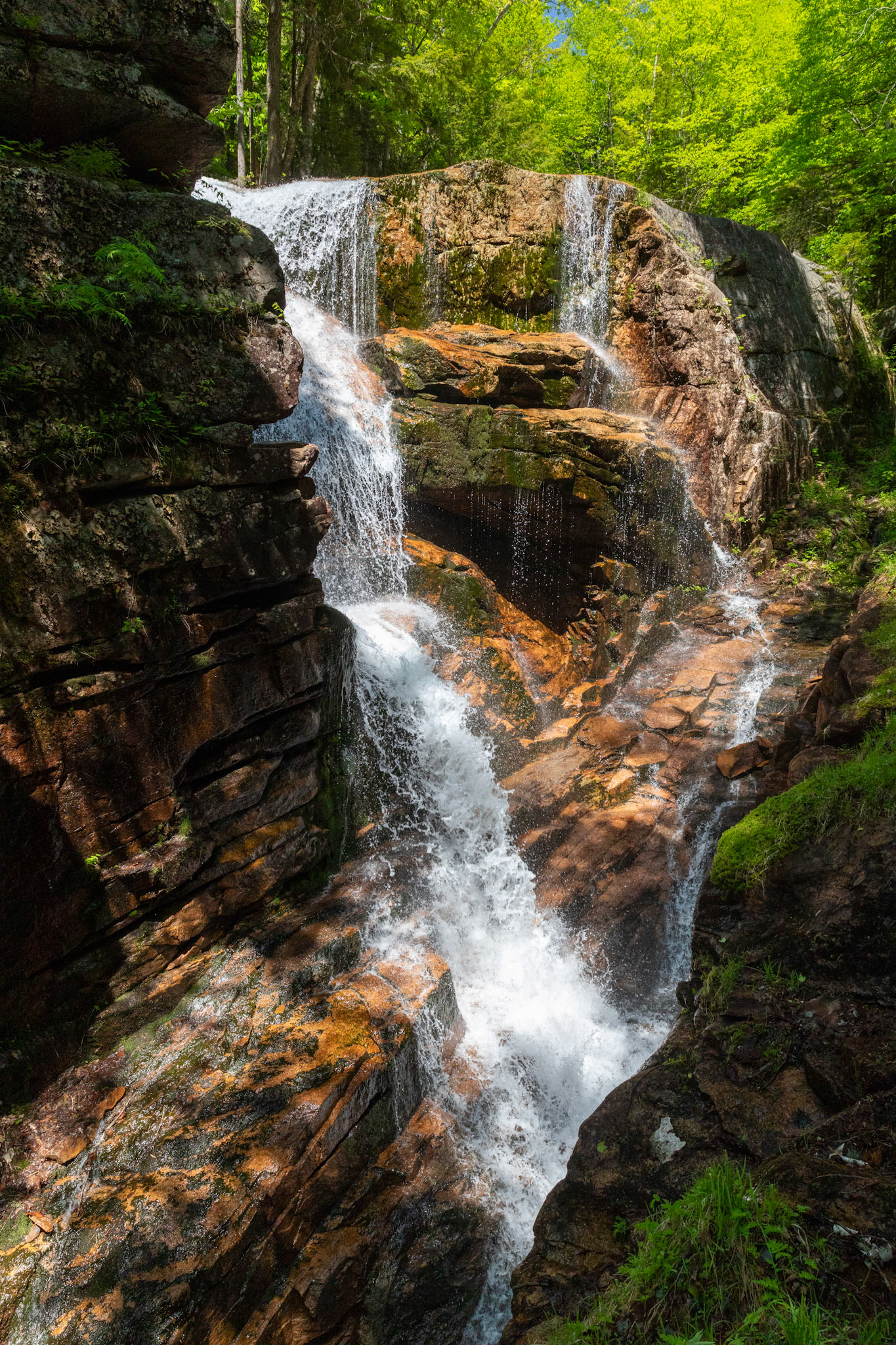 Waterfall - Flume Gorge - Lincoln, New hampshire