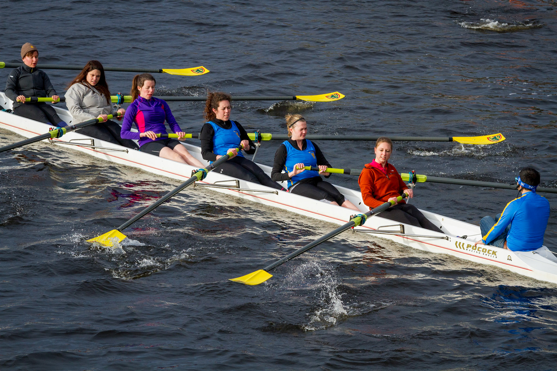 Harvard Rowing - On the Charles River, Boston