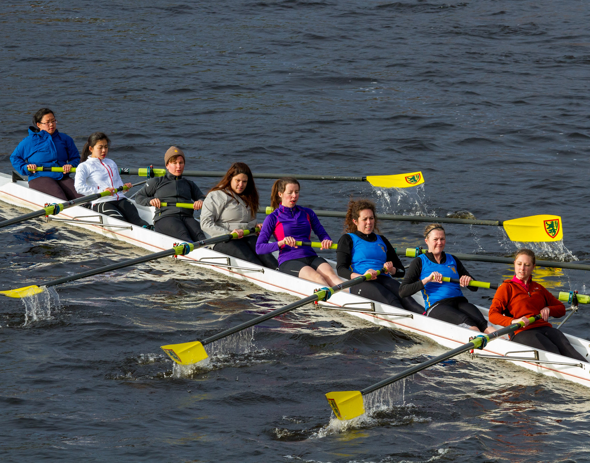 Harvard Rowing - On the Charles River, Boston