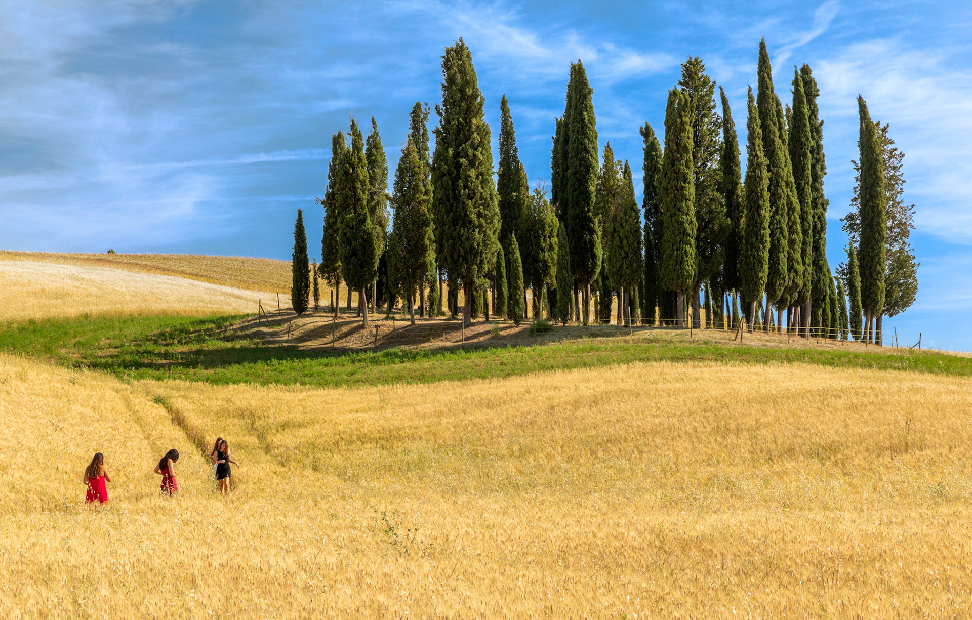 Near San Quirico d'Orcia, Italy