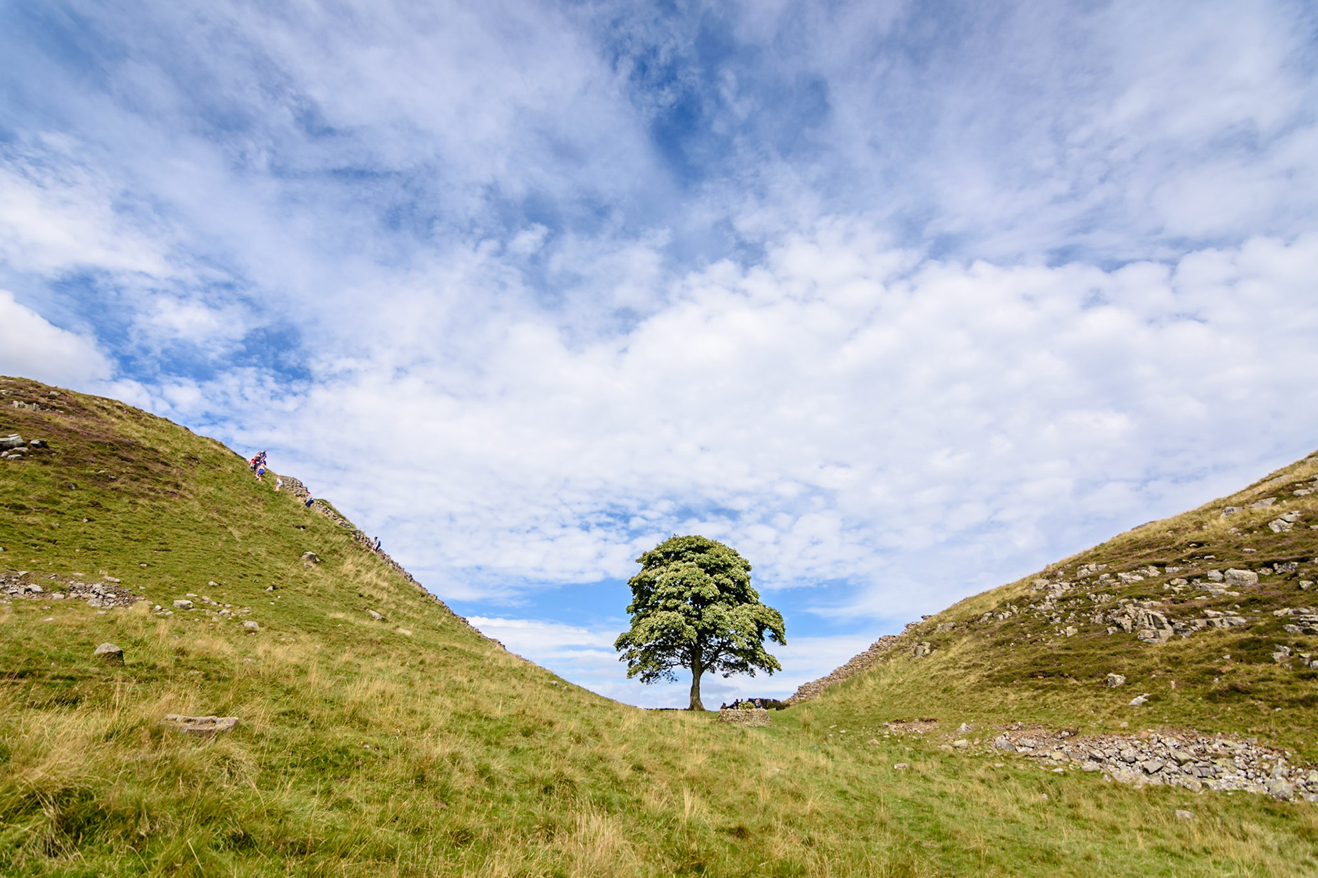 Sycamore Gap