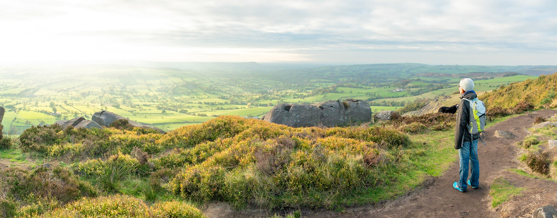 Roaches View