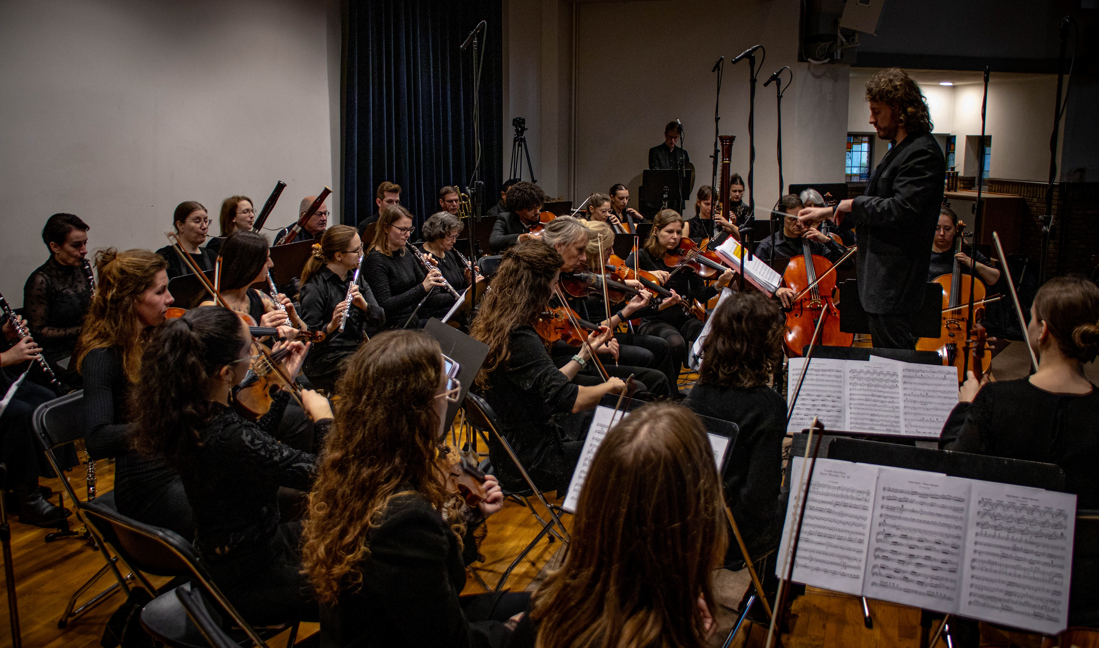 Kijk eens naar het vogeltje fotografie