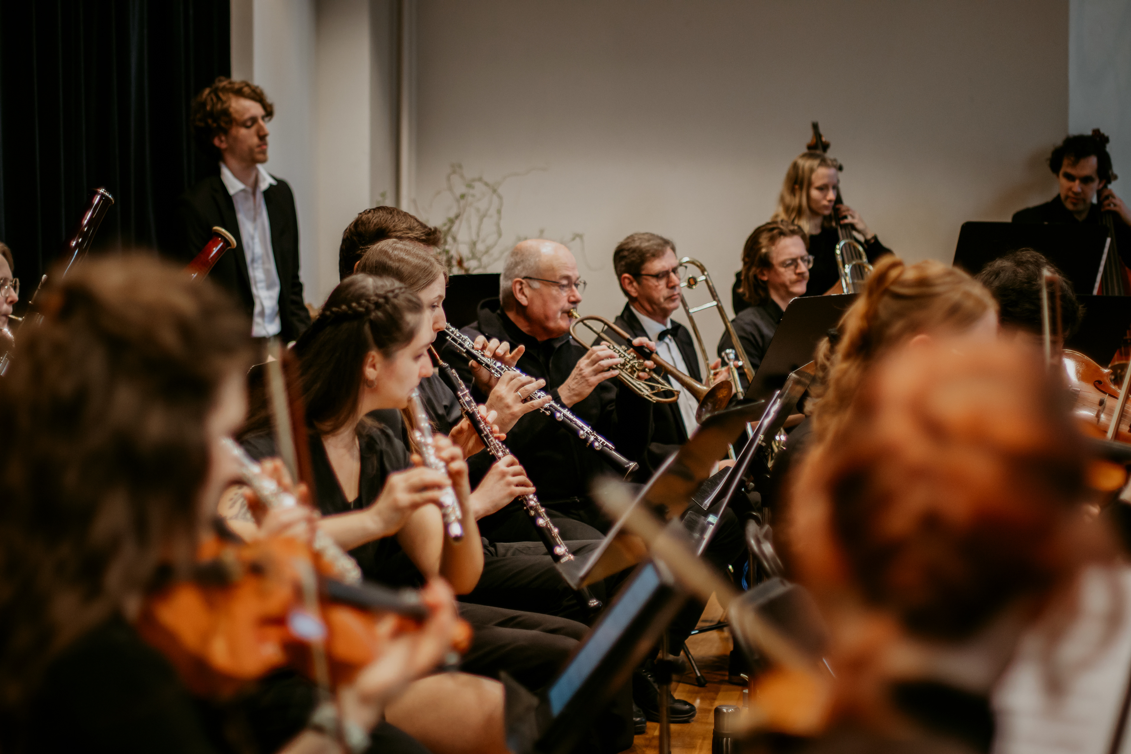 Kijk eens naar het vogeltje fotografie