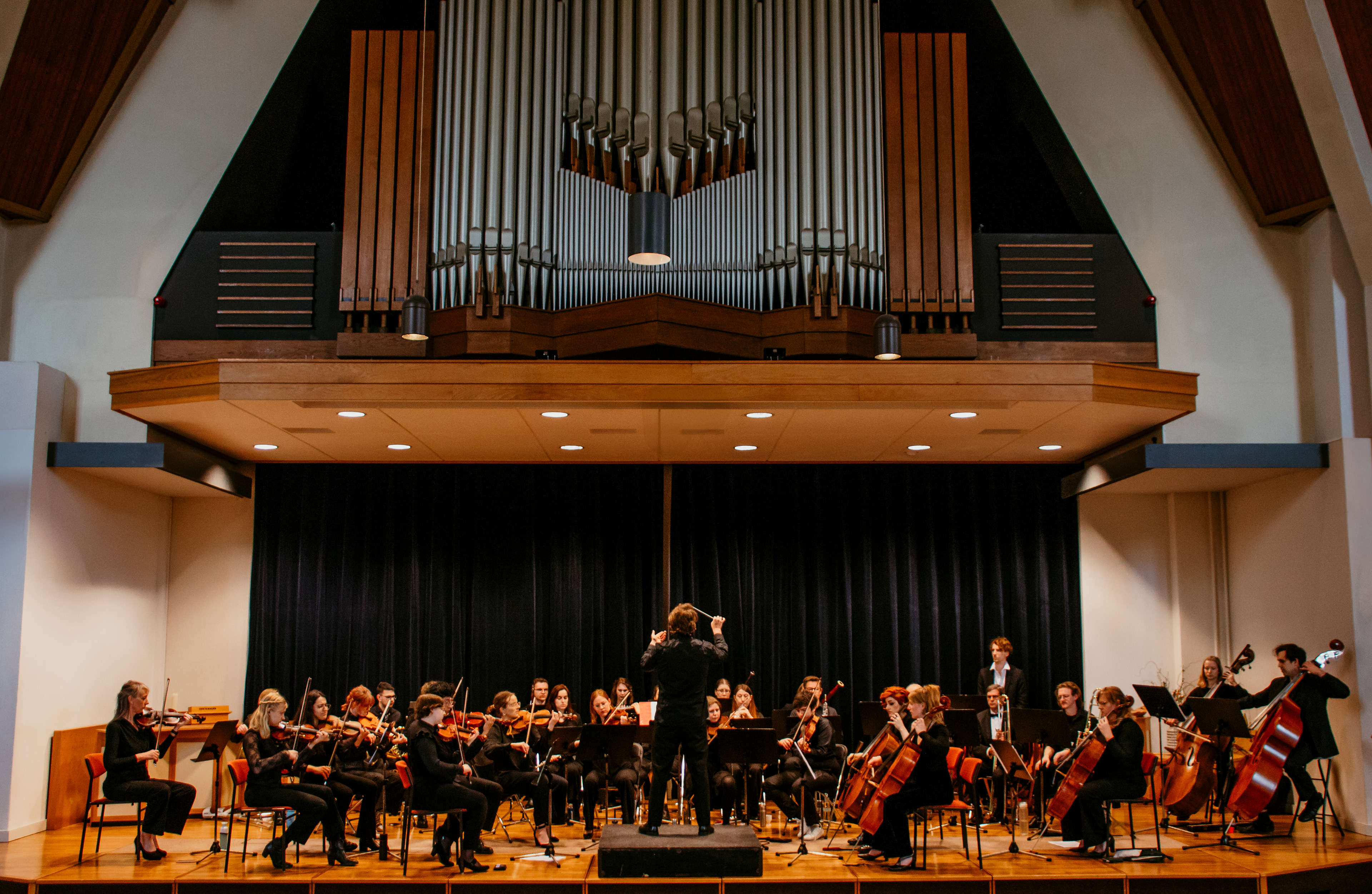 Kijk eens naar het vogeltje fotografie