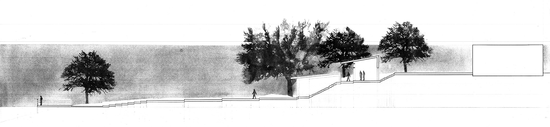 Site Section