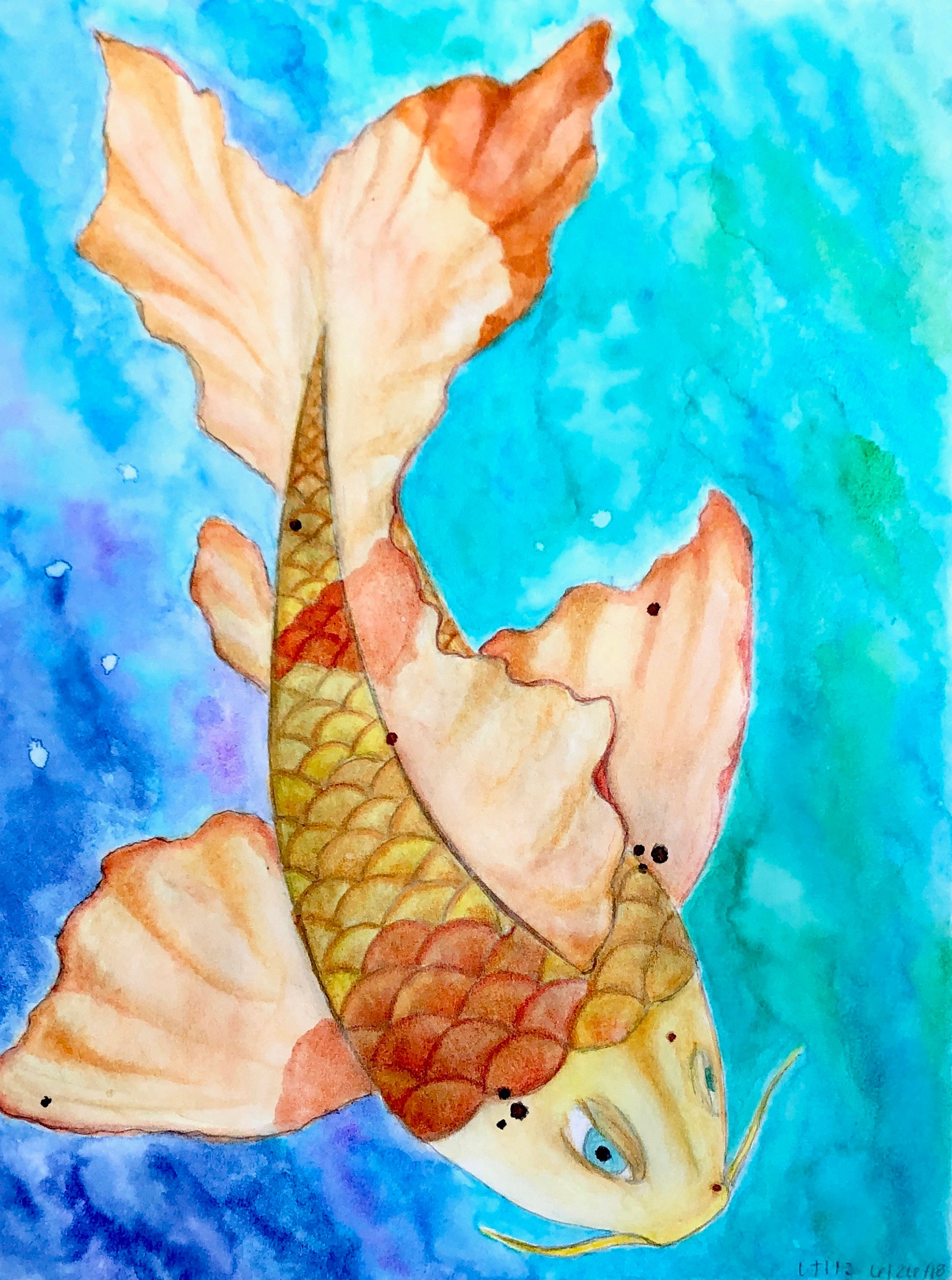 Koi Fish