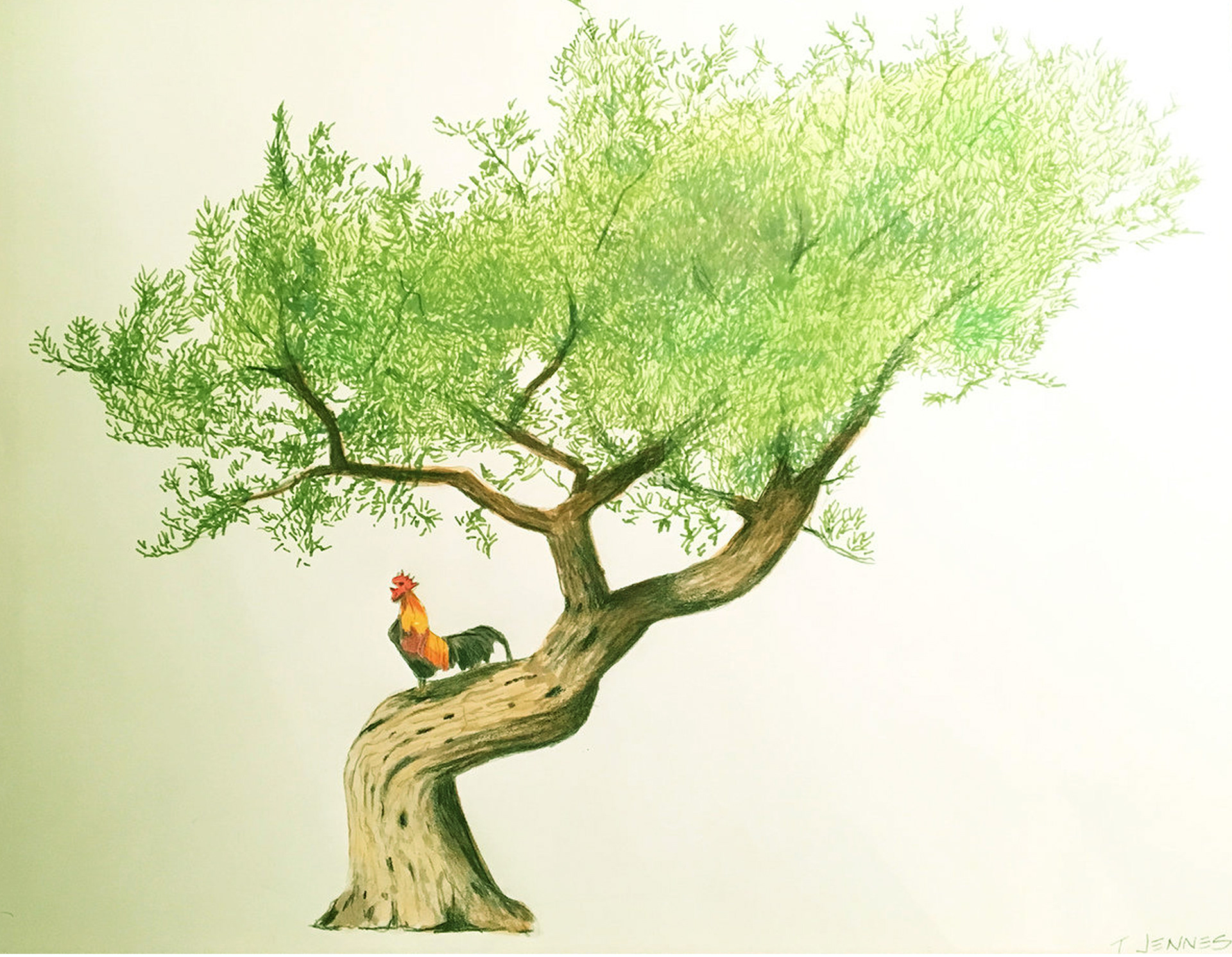 "Olive Tree" Mixed Media 24"x19"