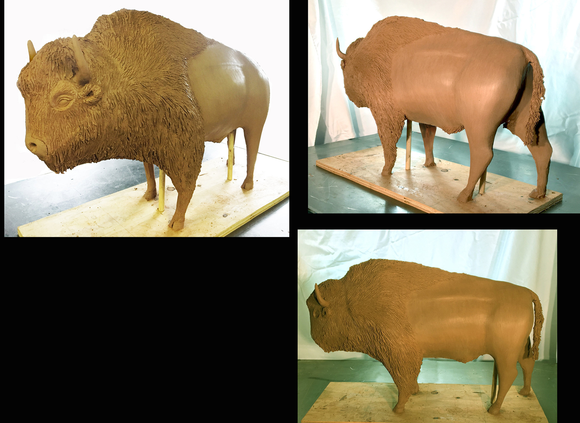 American Bison Sculpture-Industrial Plasticine Clay 31"x10"x21" 