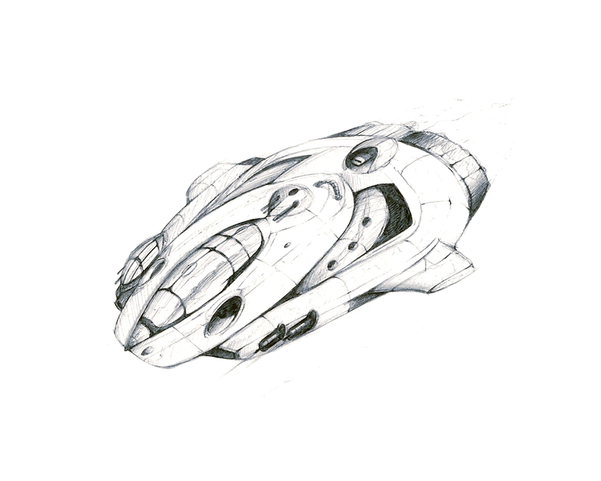 Ball point pen drawing