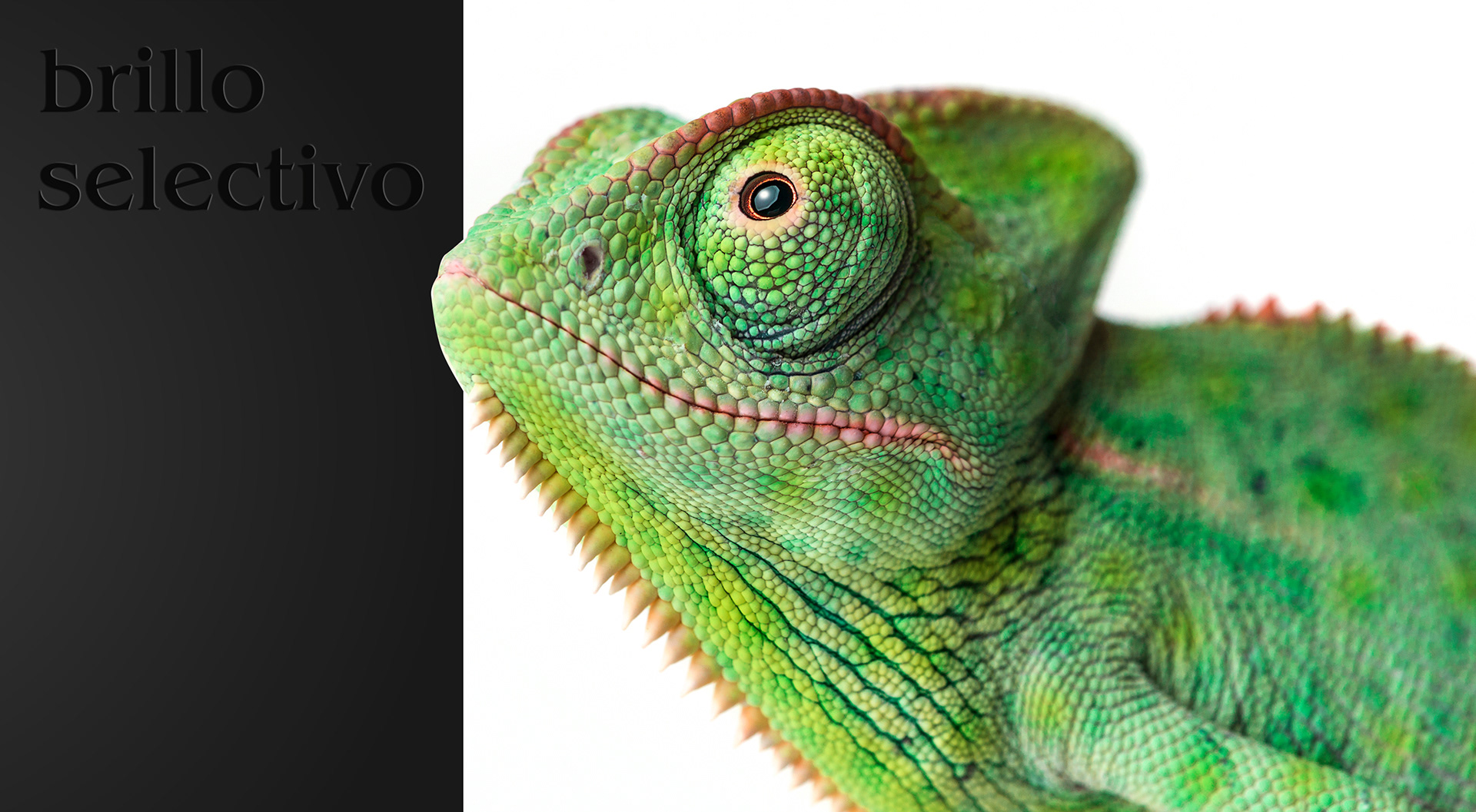 ¿tienes una idea brillante?