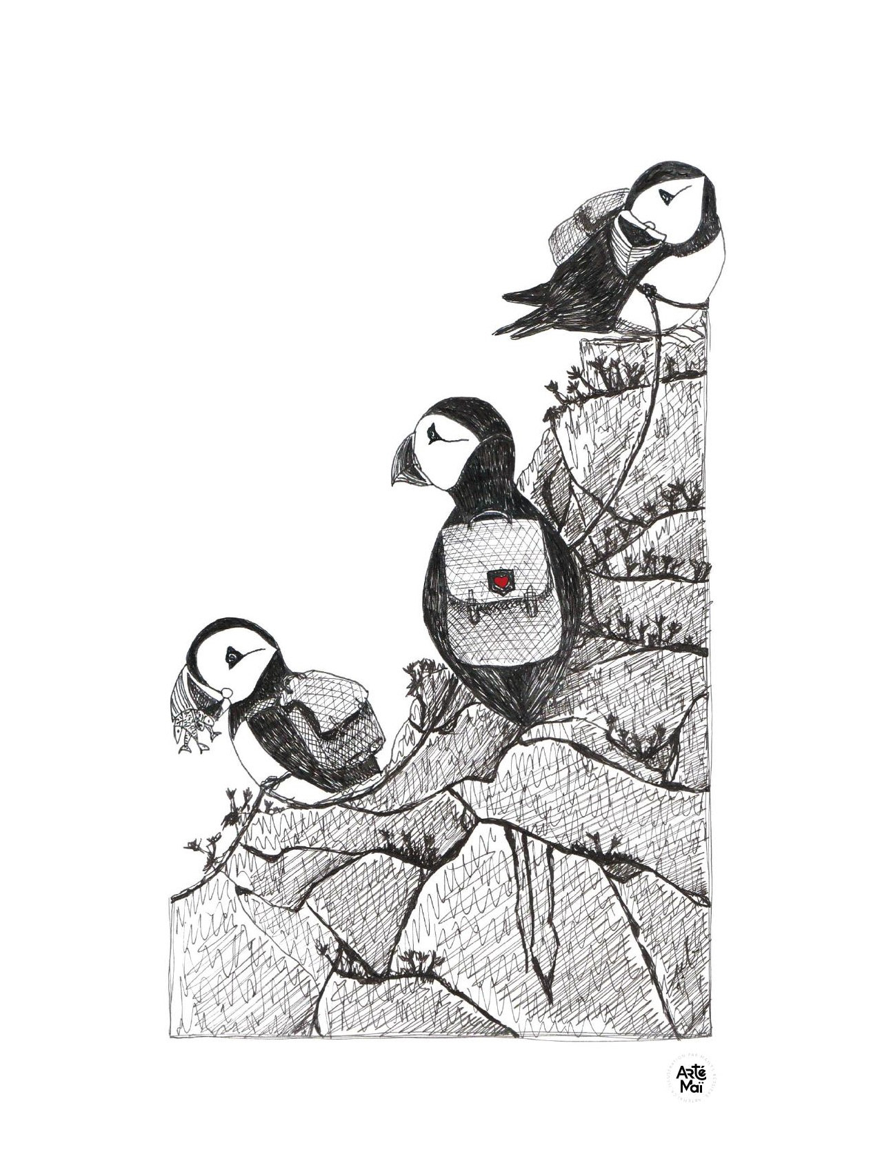 Macareux randonneurs | illustration traditionnelle à l'encre