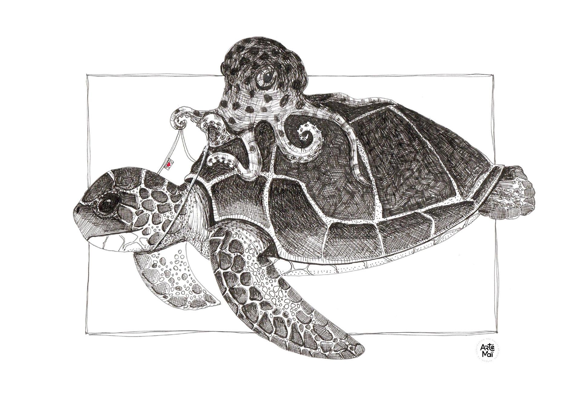 À dos de tortue | illustration traditionnelle à l'encre
