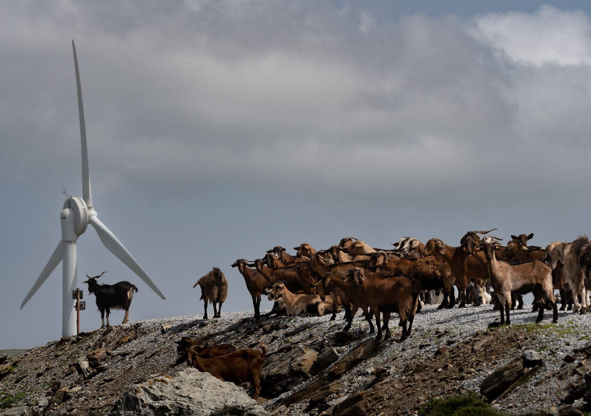 PPC Renewables (ΔΕΗ Ανανεώσιμες) wind farm in Marmari, South Evia